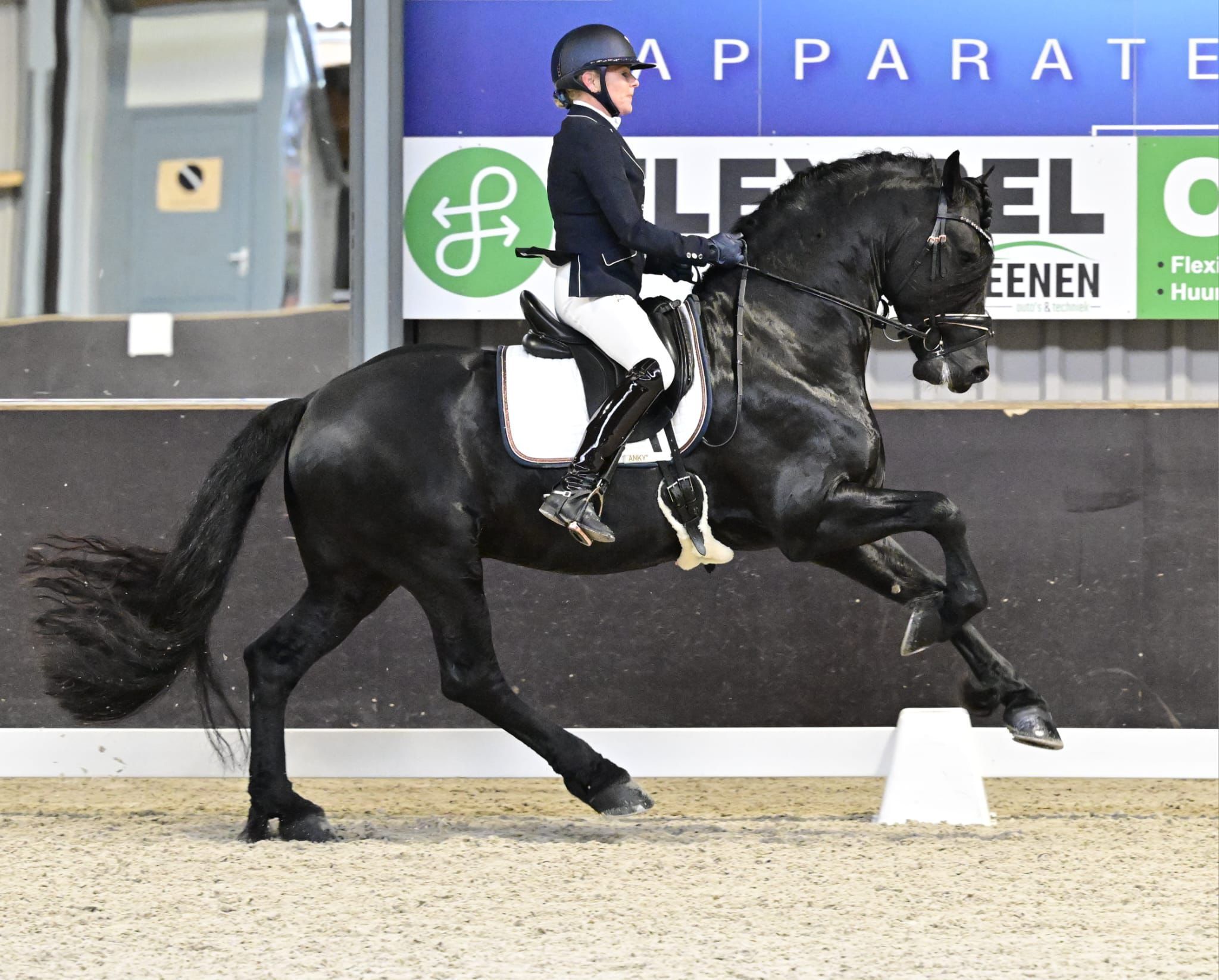 freiberger dressuurpaard hengst 8 jaar zwart te koop - Foto 4