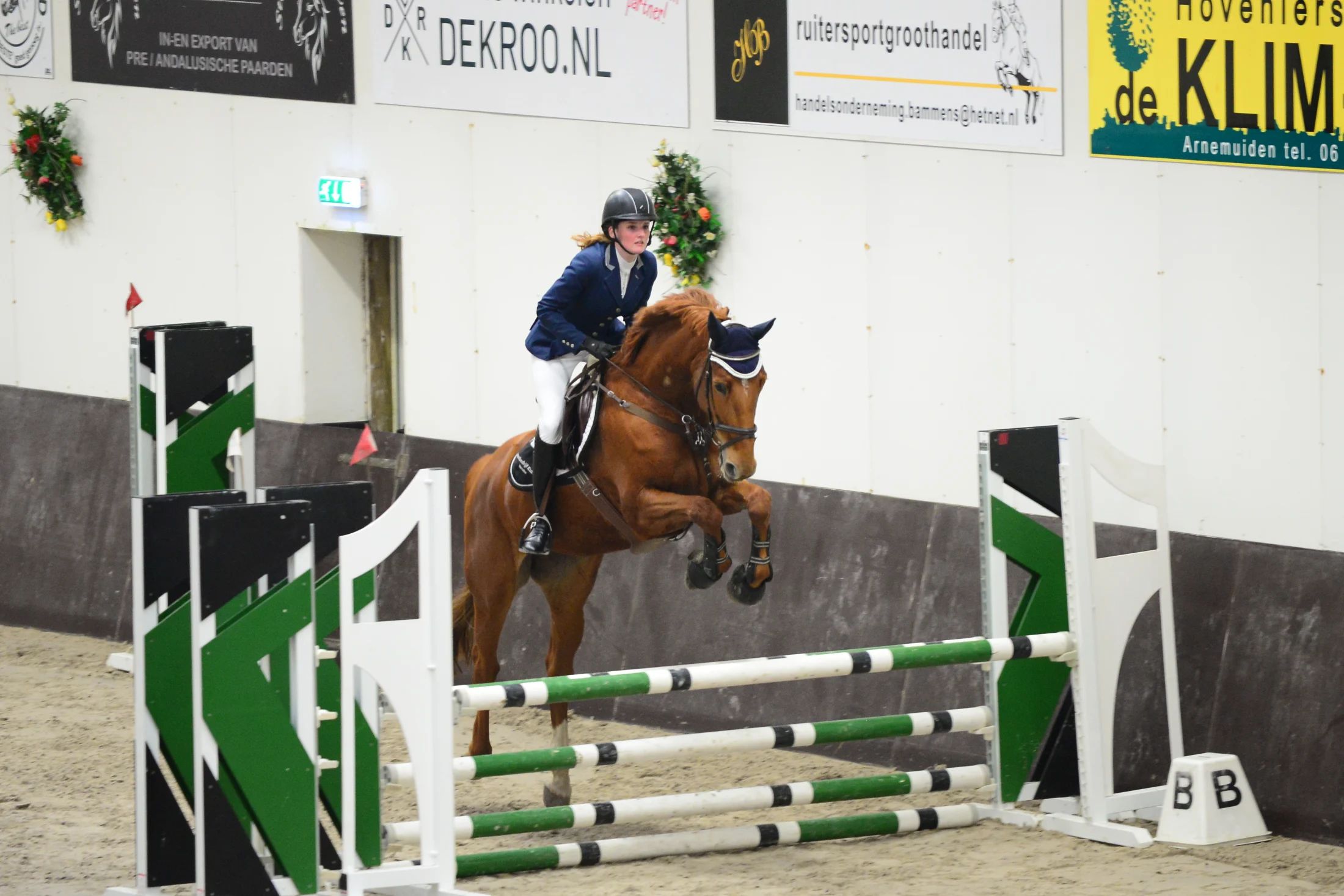 kwpn springpaard merrie 14 years old vos for sale - Photo 3