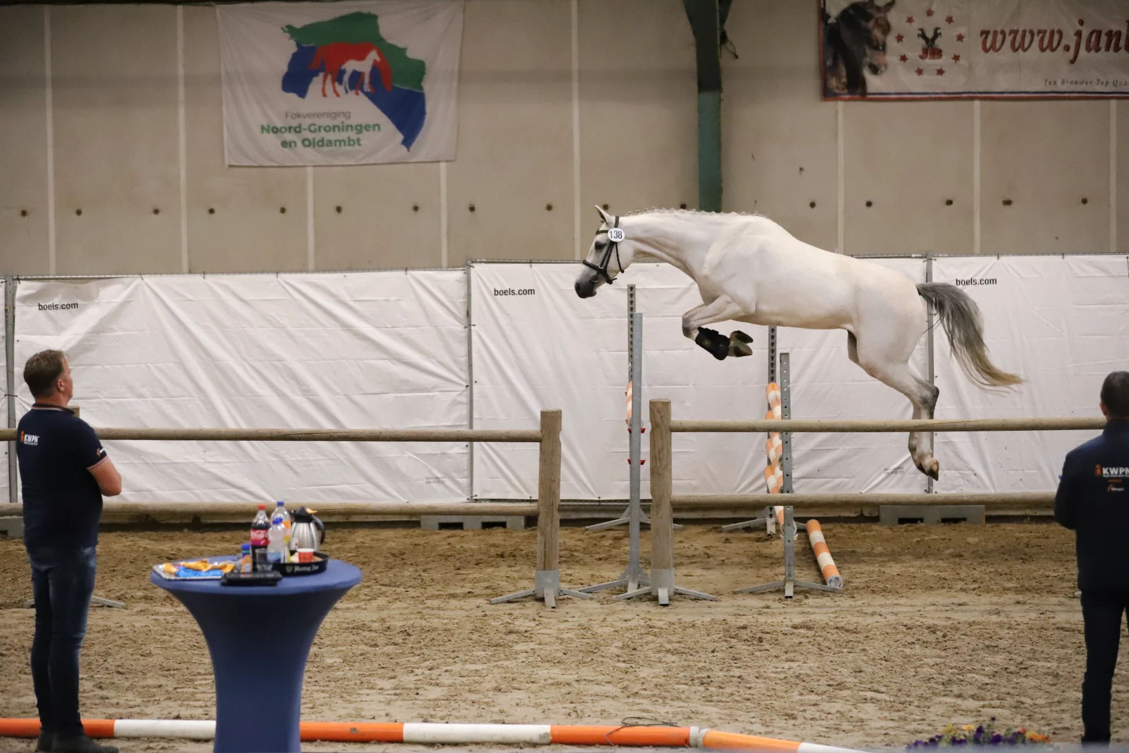 kwpn springpaard merrie 6 ani schimmel de vânzare - Foto 2