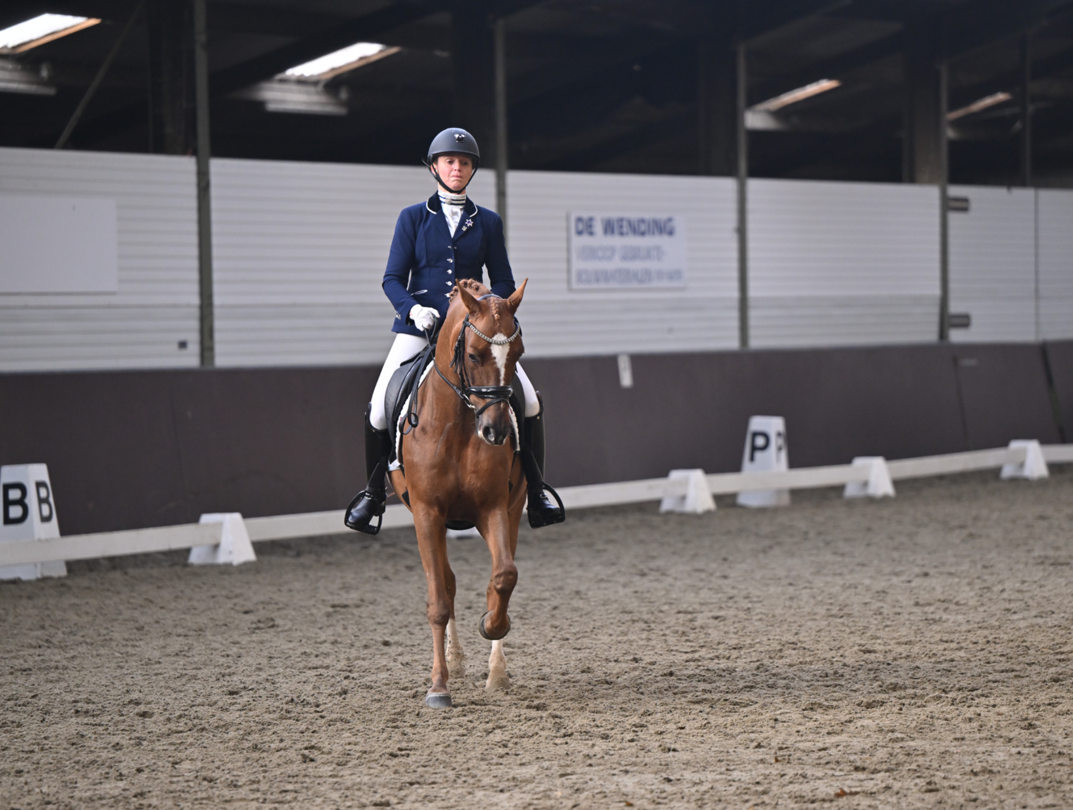Top New Forest leermeester, ZZ-licht geklasseerd