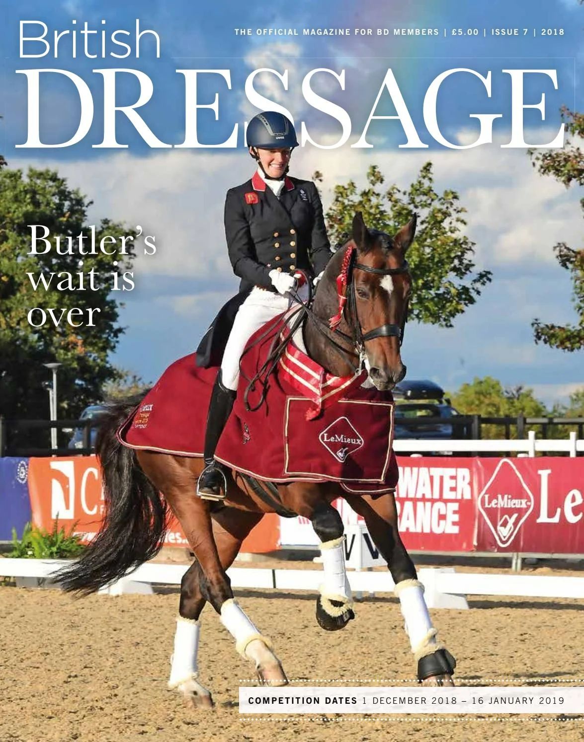 kwpn dressuurpaard merrie 9 years old zwart for sale - Photo 2