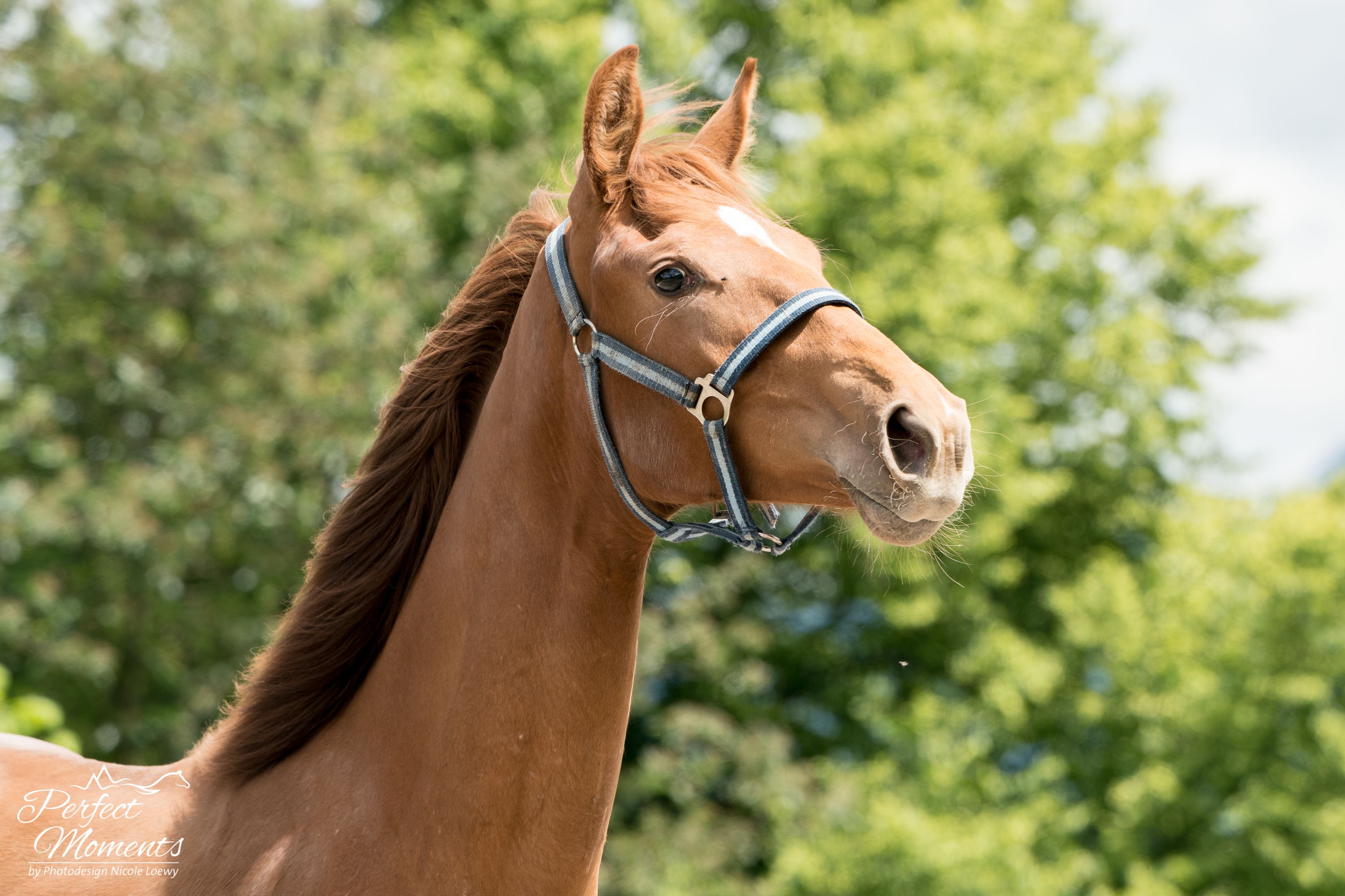 Beautiful and talented Vitalis daughter