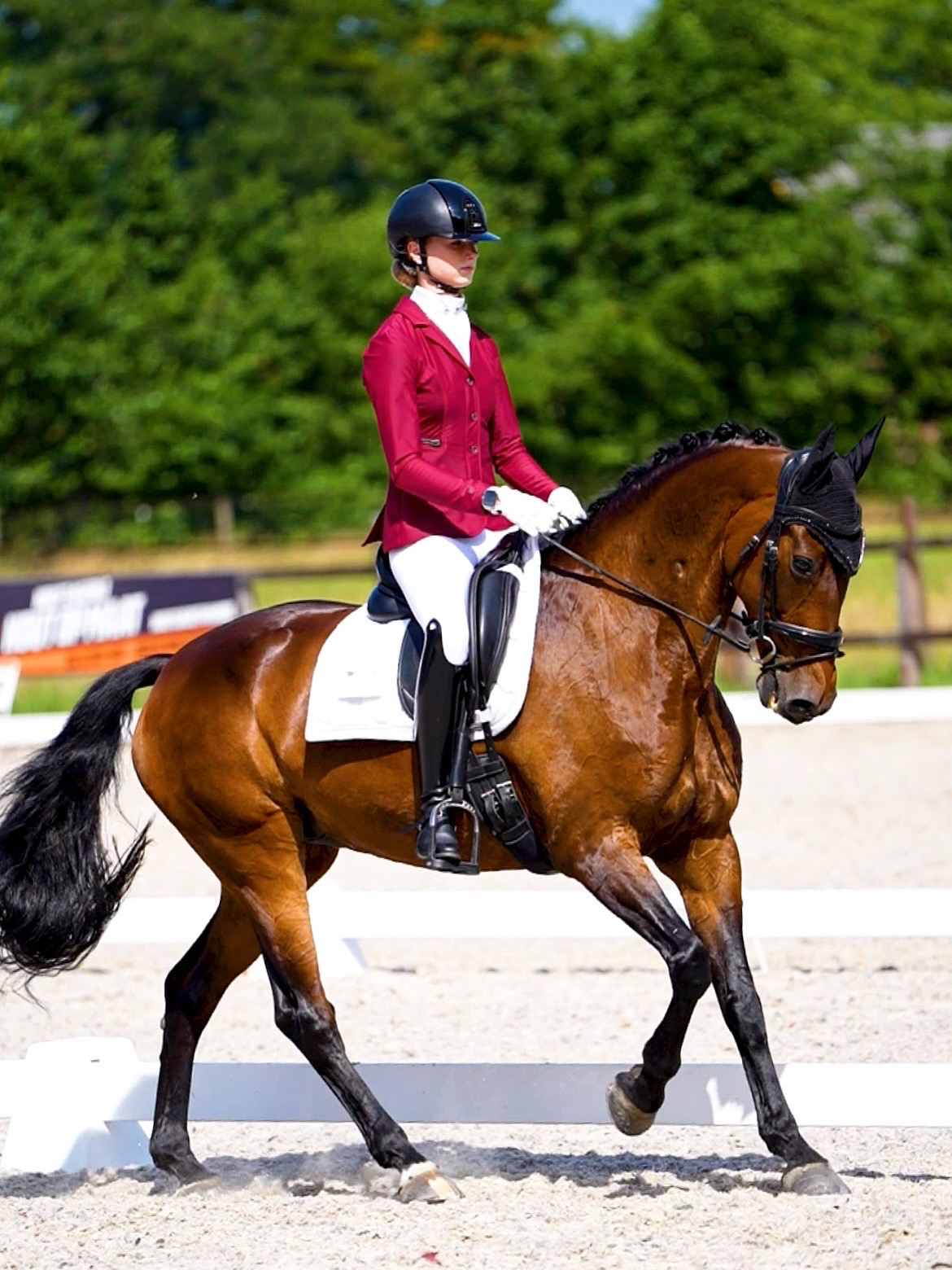 nrps dressuurpaard merrie 16 years old donkerbruin for sale - Photo 2