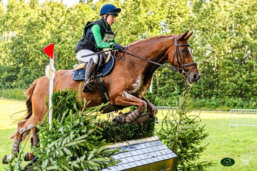 Recreational & hacking horse