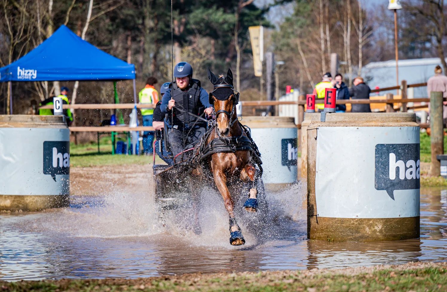 kwpn paard merrie 9 jaar vos te koop - Foto 2