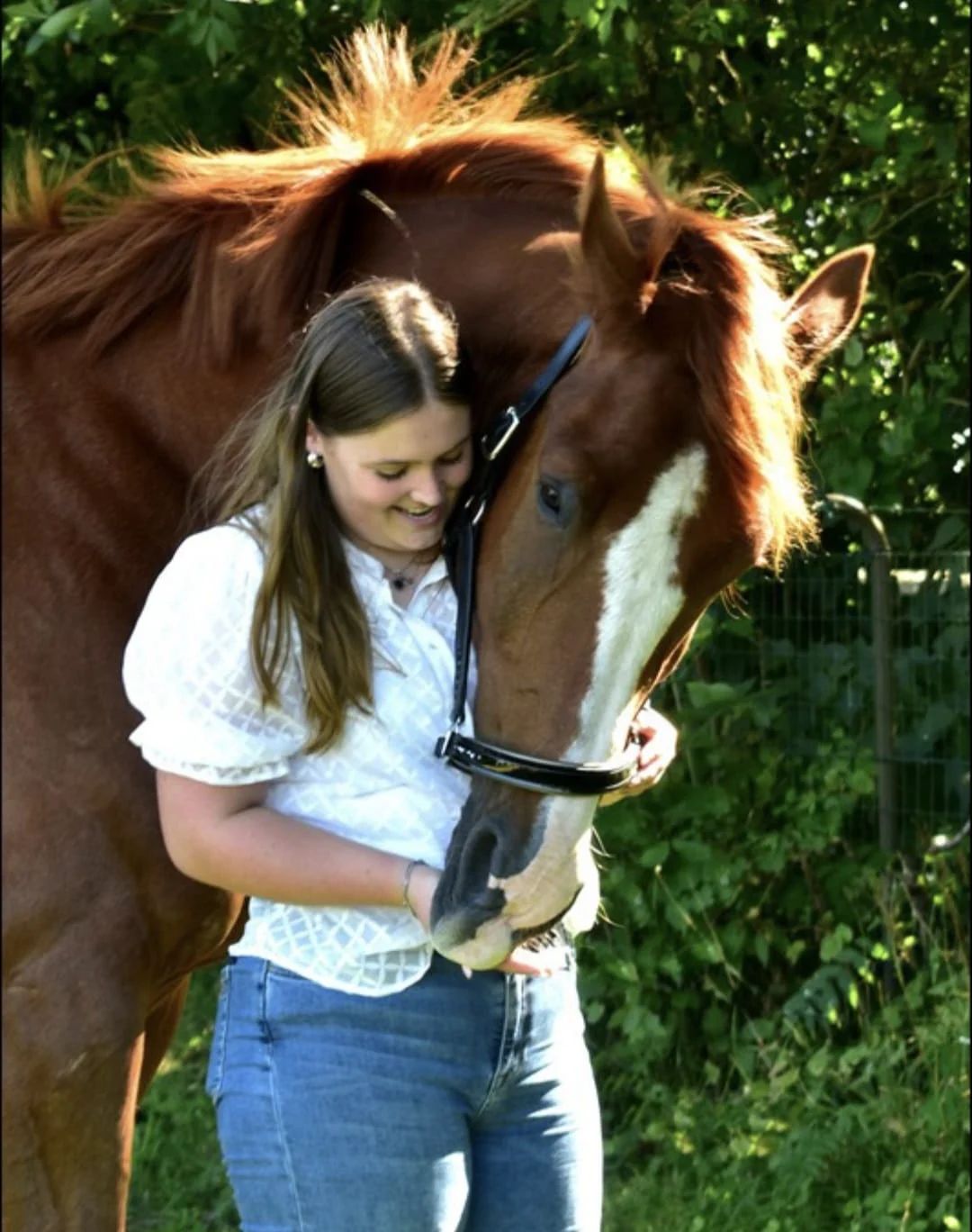 kwpn dressuurpaard ruin 10 år vos till salu - Foto 3
