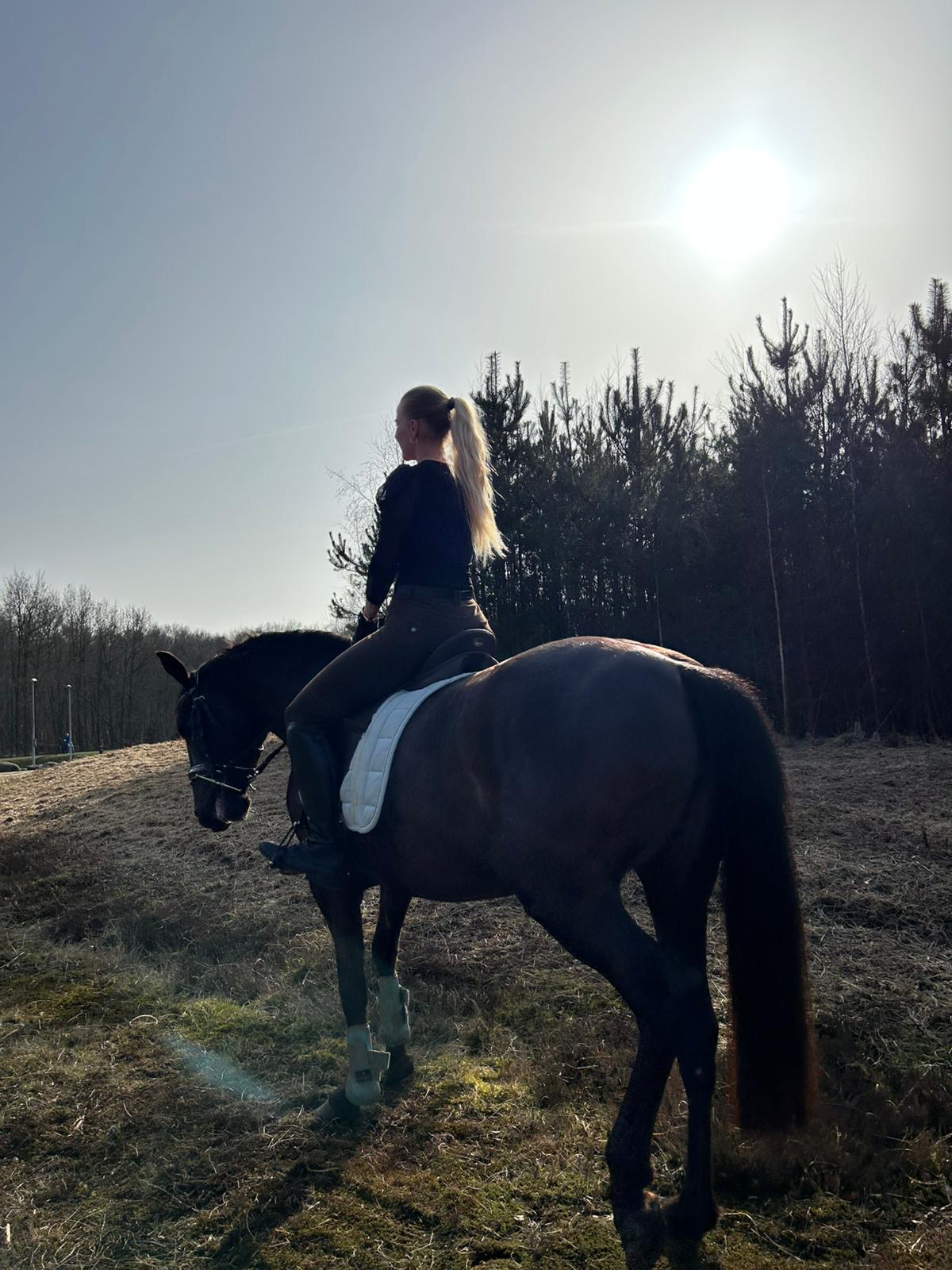 allround-pony merrie 4 years old donkerbruin for sale - Photo 4