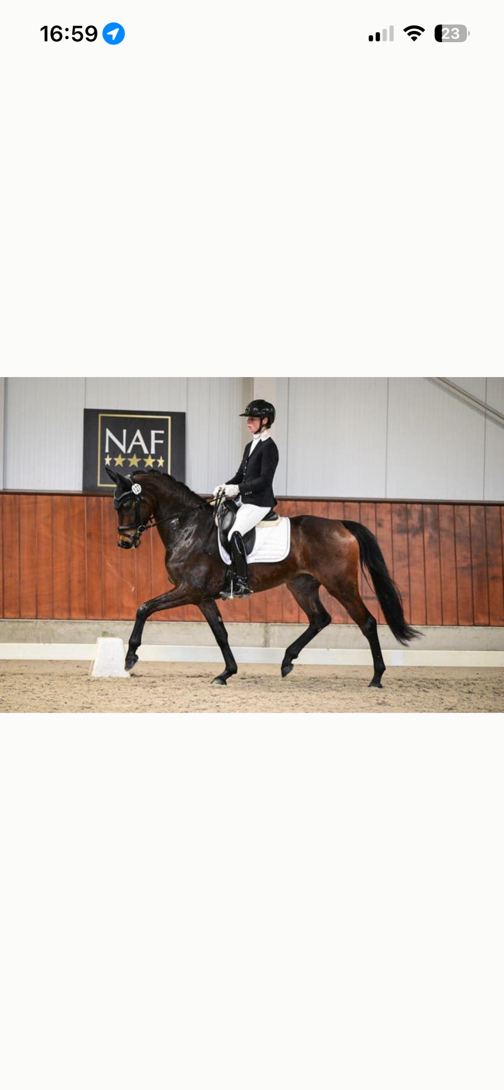 kwpn dressuurpaard merrie 4 years old bruin for sale - Main photo