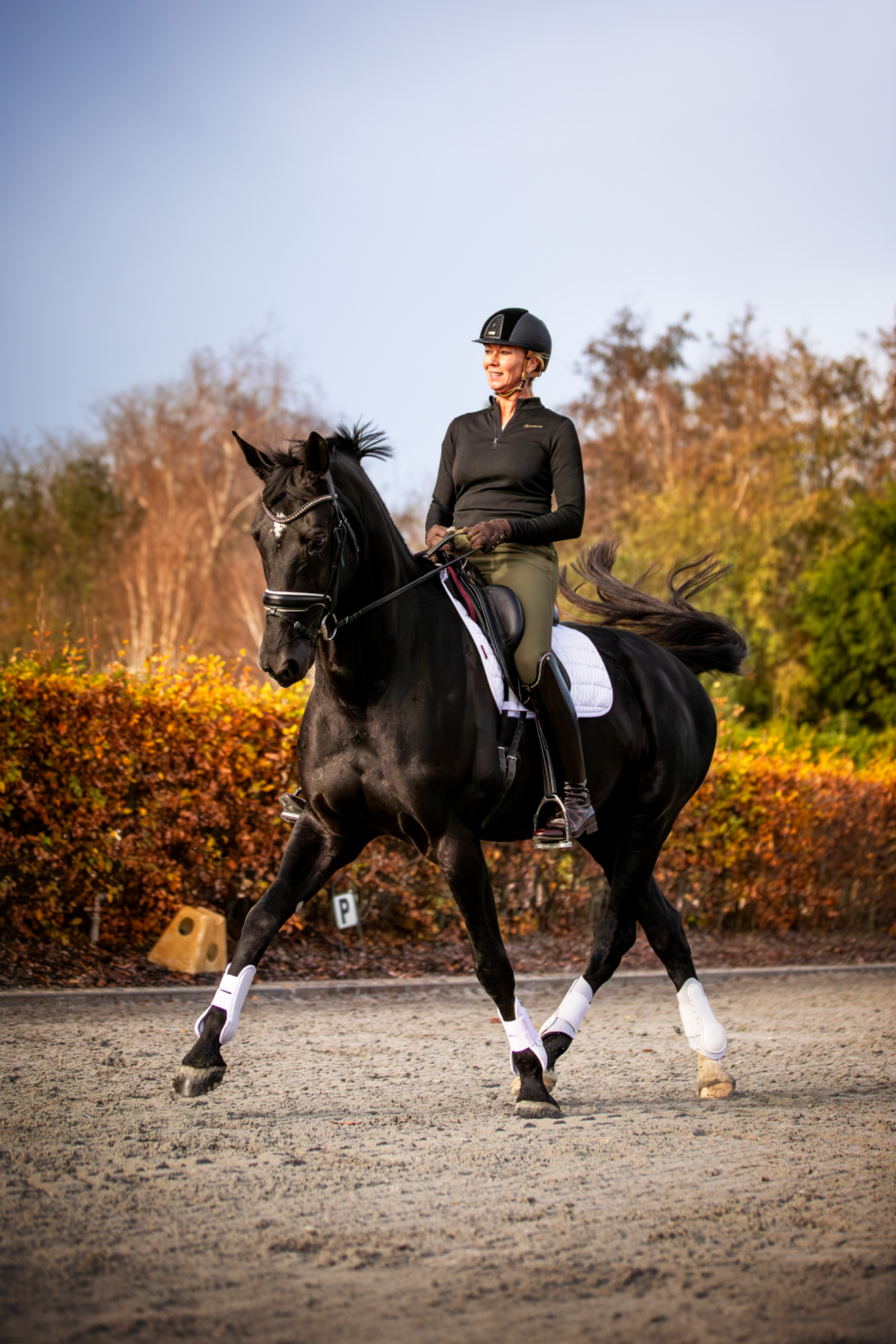 kwpn dressuurpaard merrie 9 Jahre alt zwart zu verkaufen - Foto 2