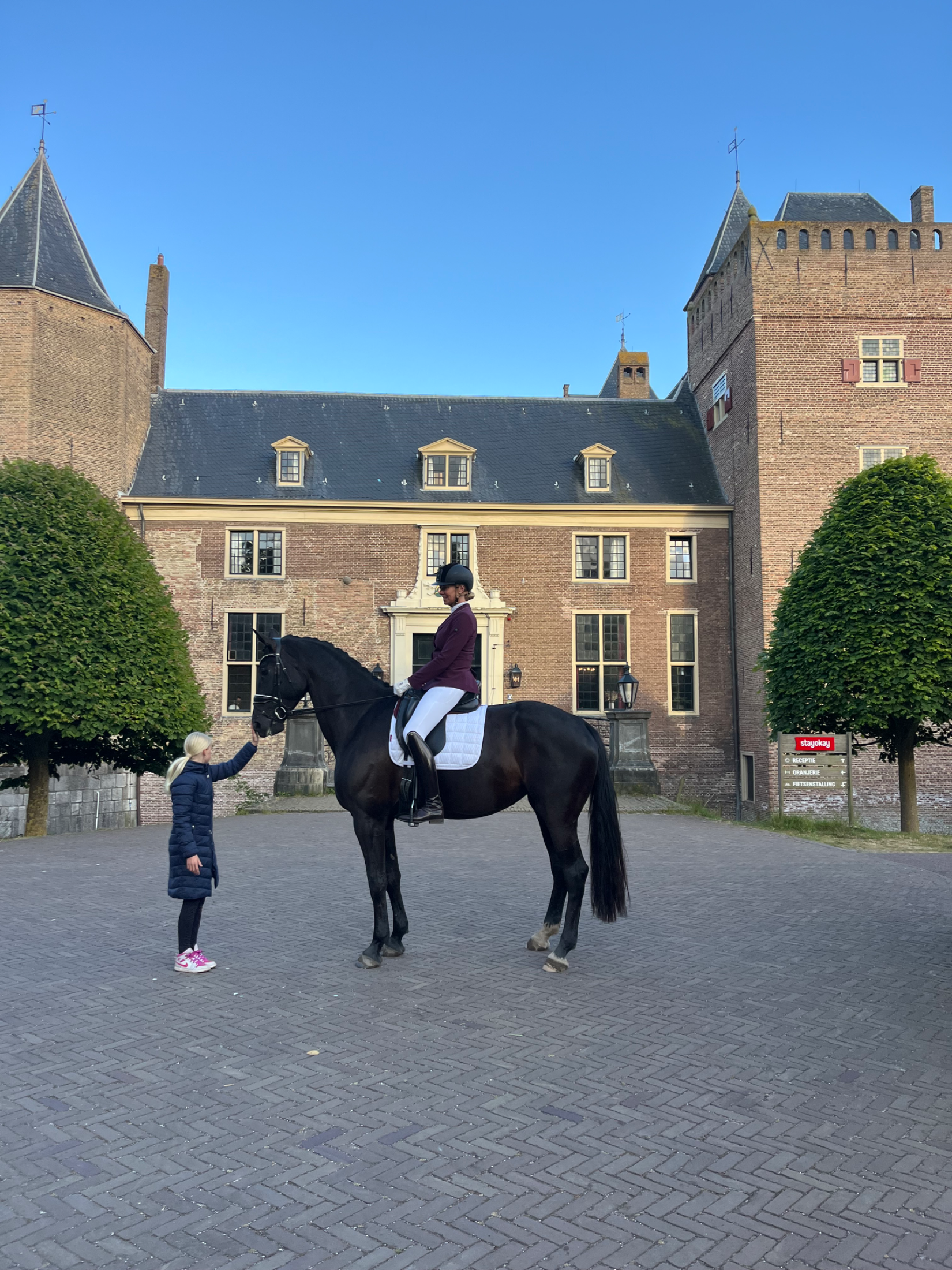 kwpn dressuurpaard merrie 9 Jahre alt zwart zu verkaufen - Foto 5