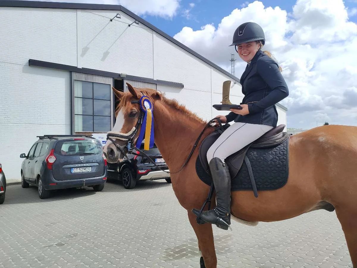 bwp allround-pony ruin 13 vuotta vos myytävänä - Kuva 5