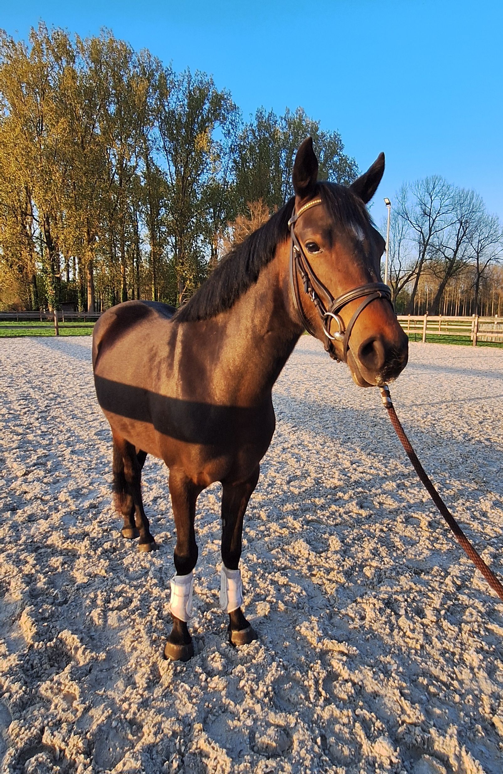 Liebe 3-jährige Sportstute