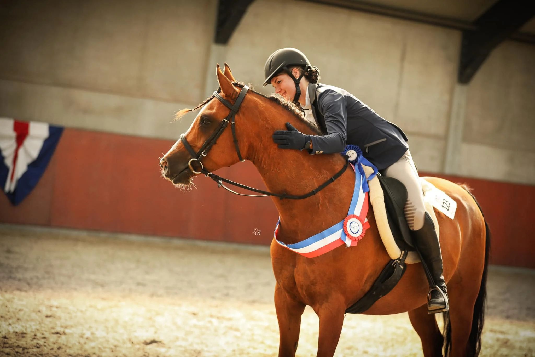 arabier western-paard ruin 9 jaar bruin te koop - Foto 6