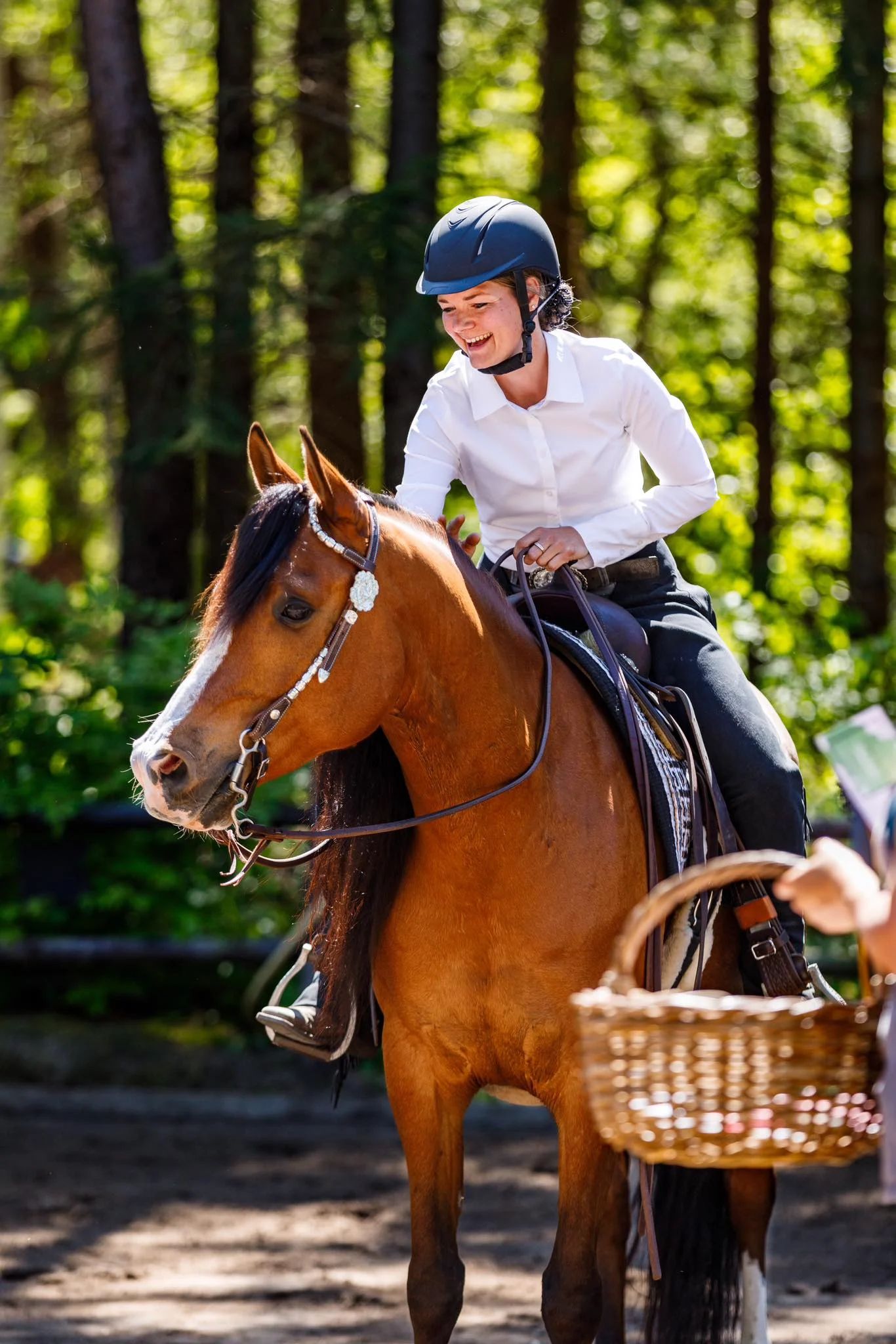 arabier western-paard ruin 9 jaar bruin te koop - Foto 2