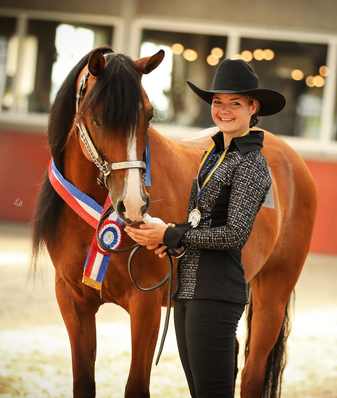 arabier western-paard ruin 9 jaar bruin te koop - Foto 3