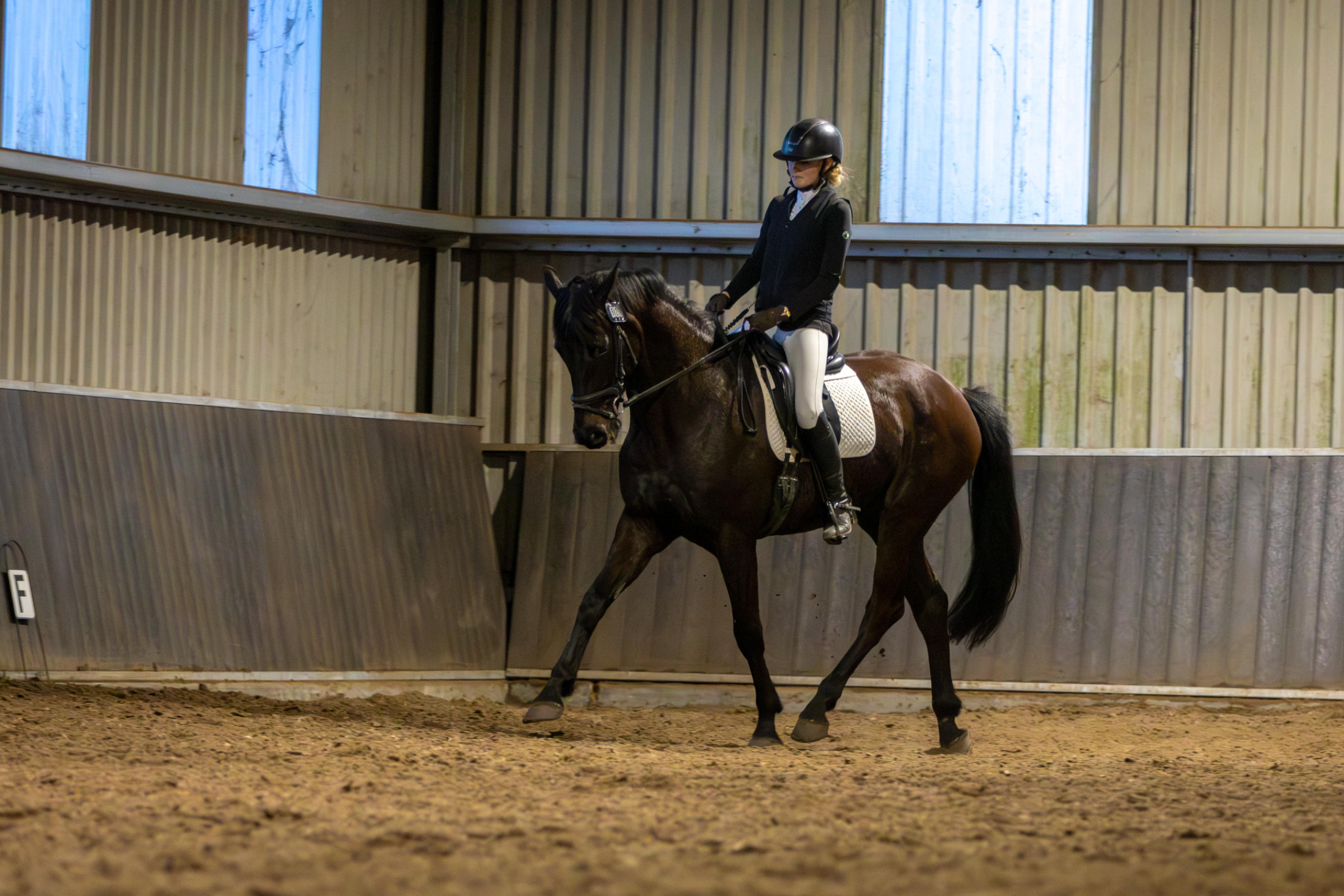 kwpn dressuurpaard ruin 4 ani zwart de vânzare - Foto 5