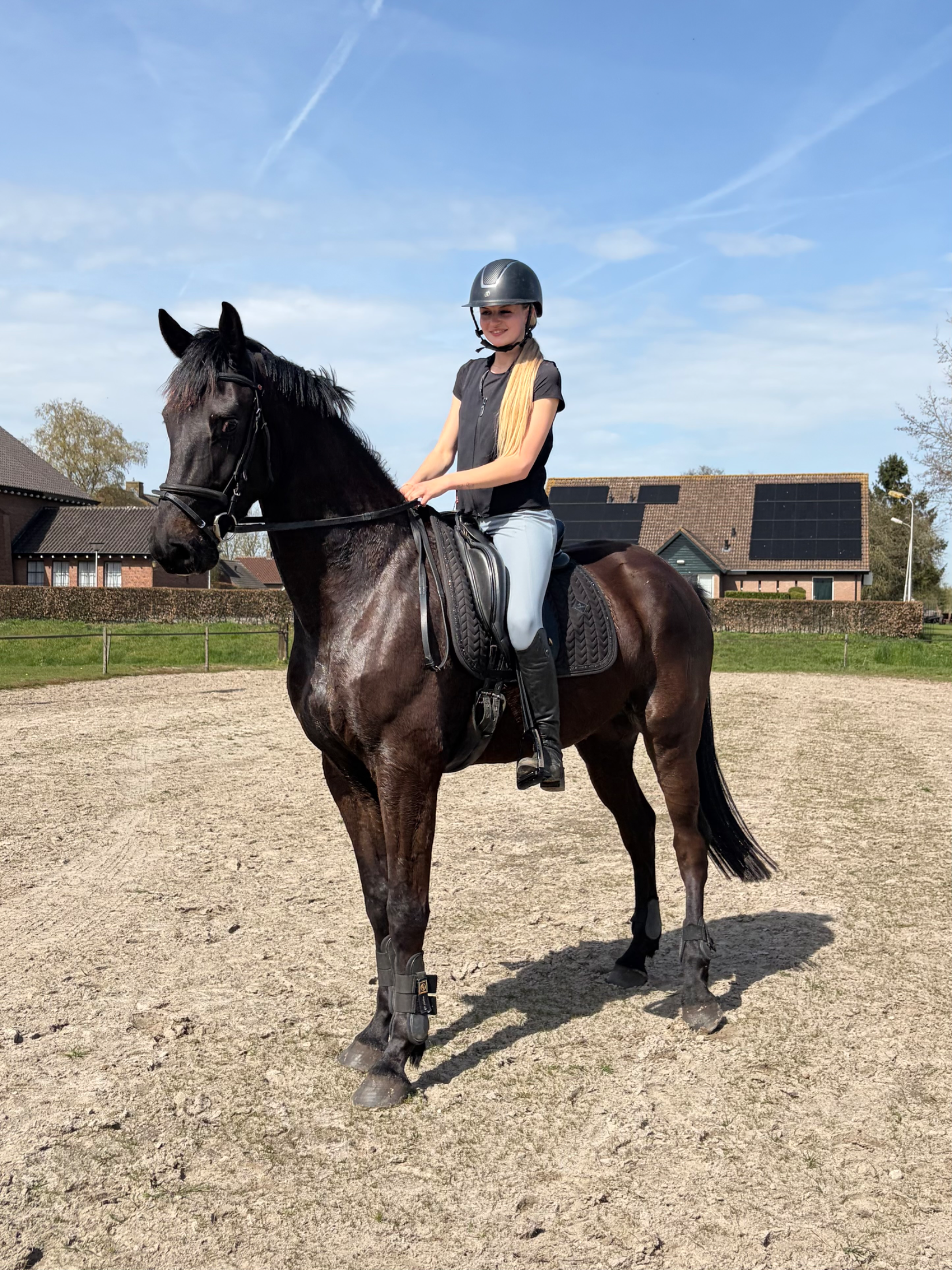 kwpn dressuurpaard ruin 4 ani zwart de vânzare - Foto 6