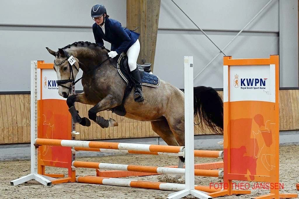 kwpn dressuurpaard merrie 5 Jahre alt roan zu verkaufen - Foto 6
