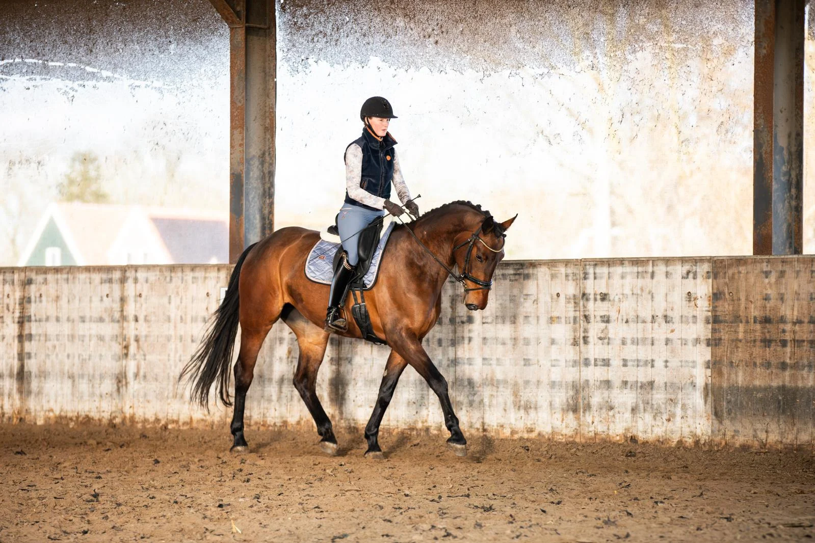 kwpn dressuurpaard merrie 4 años bruin en venta - Foto 3