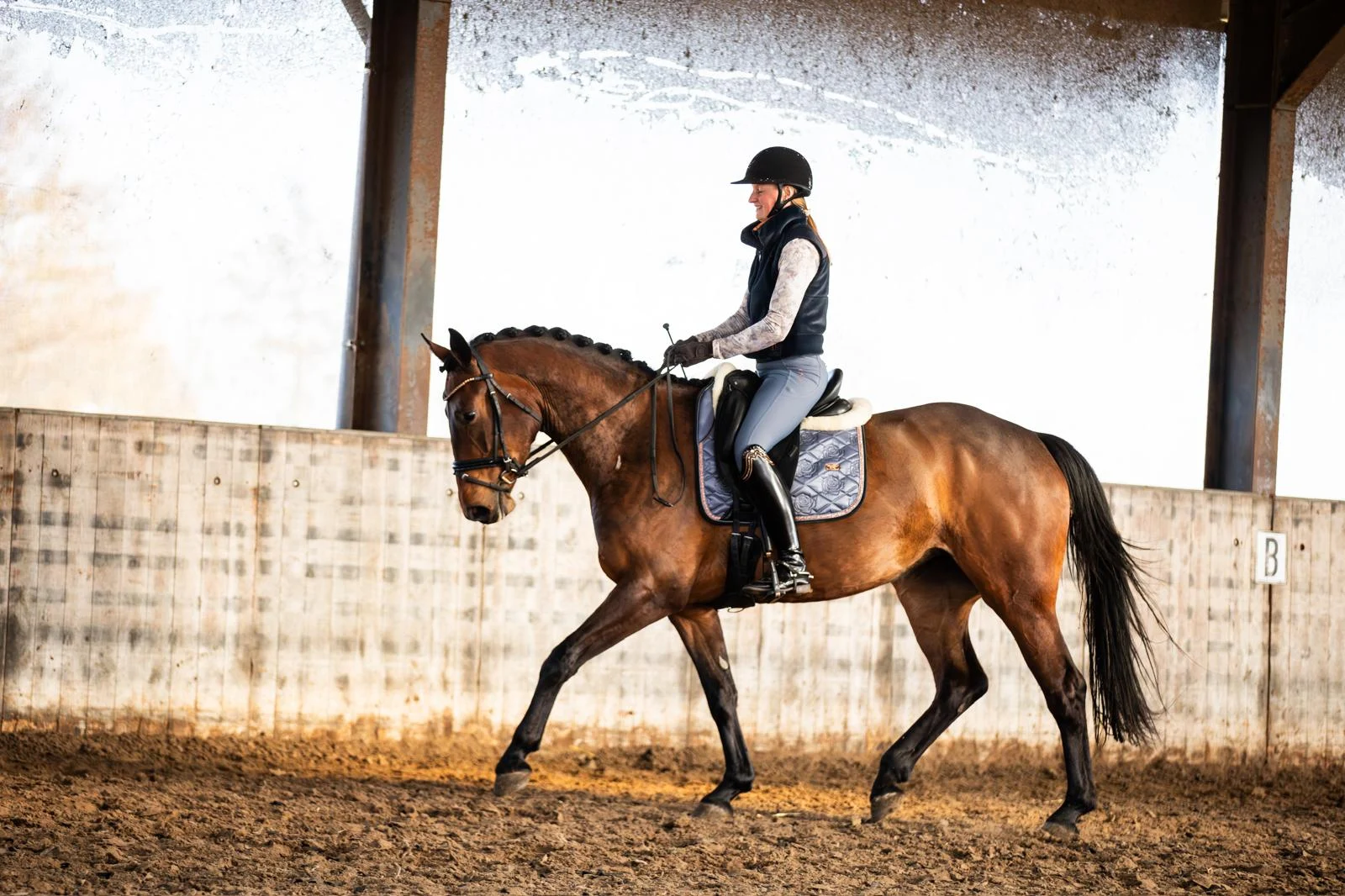 kwpn dressuurpaard merrie 4 años bruin en venta - Foto 4