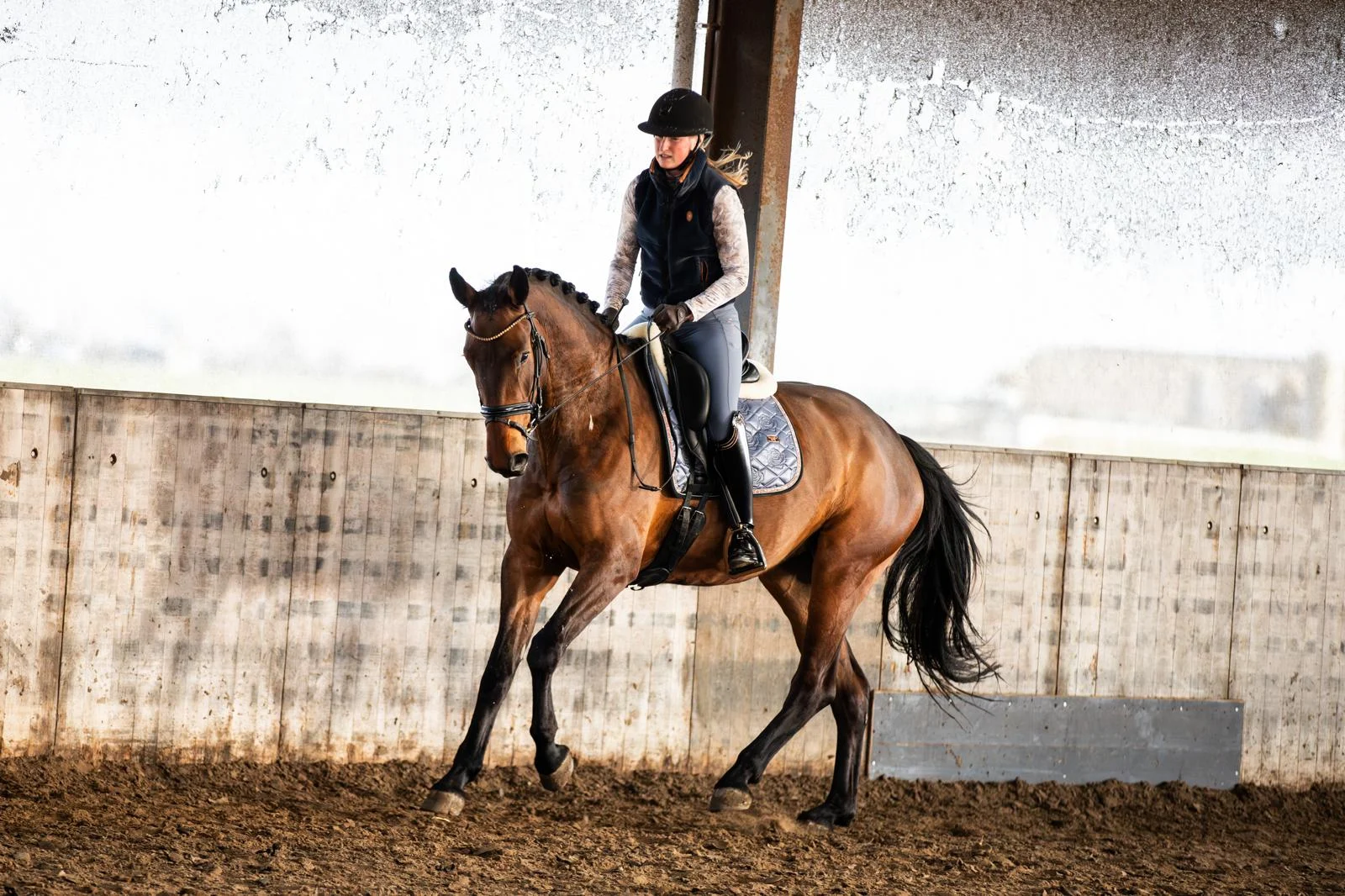 kwpn dressuurpaard merrie 4 años bruin en venta - Foto 5