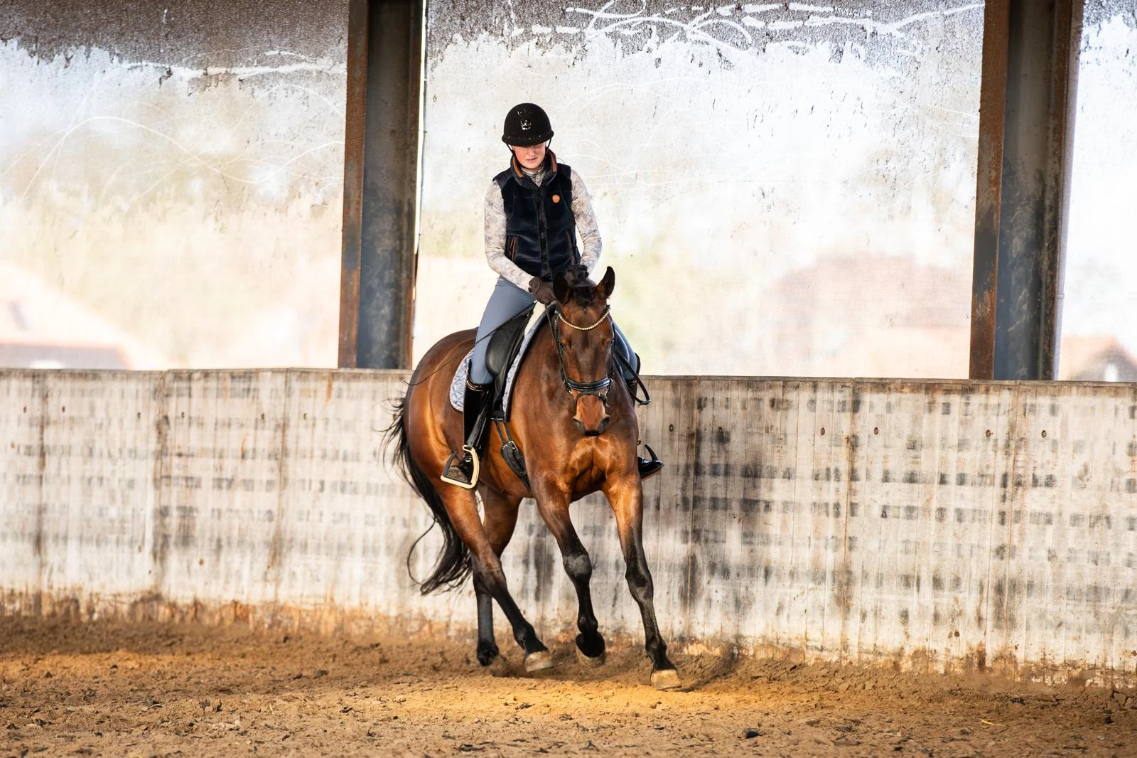 kwpn dressuurpaard merrie 4 años bruin en venta - Foto 6