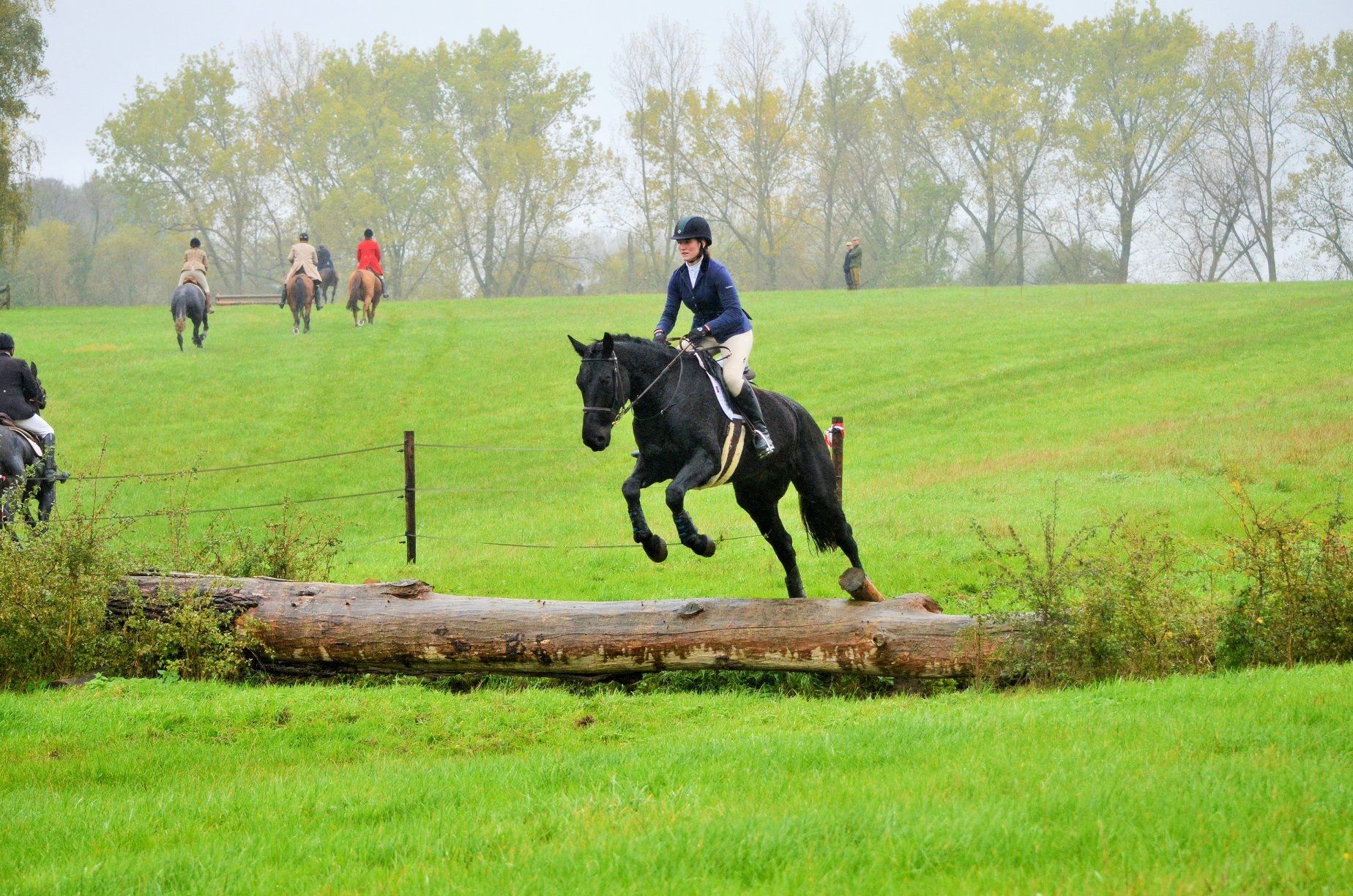 kwpn eventingpaard merrie 12 years old zwart for sale - Photo 6