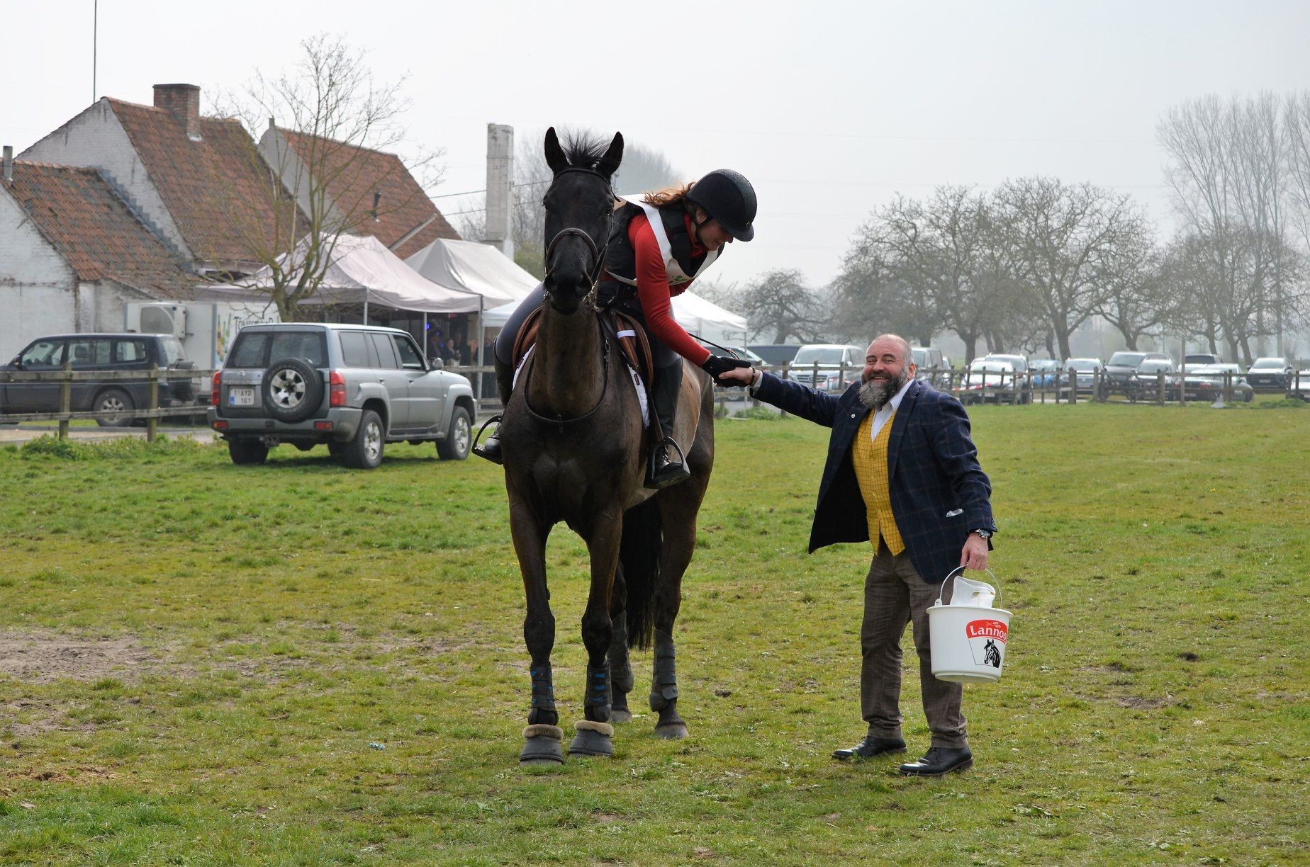 kwpn eventingpaard merrie 12 years old zwart for sale - Photo 3