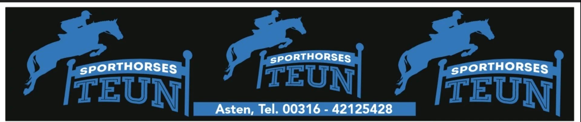 zangersheide springpaard ruin 7 years old andere-kleur for sale - Main photo