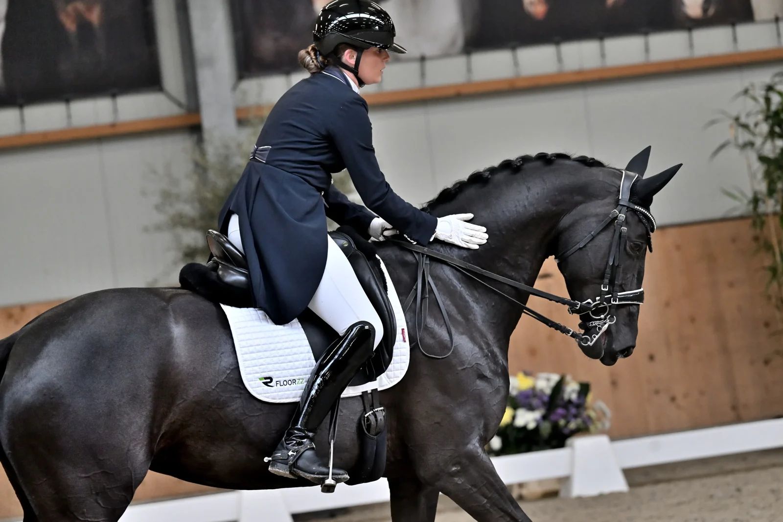kwpn dressuurpaard merrie 9 歳 zwart 売り出し中 - 写真 2
