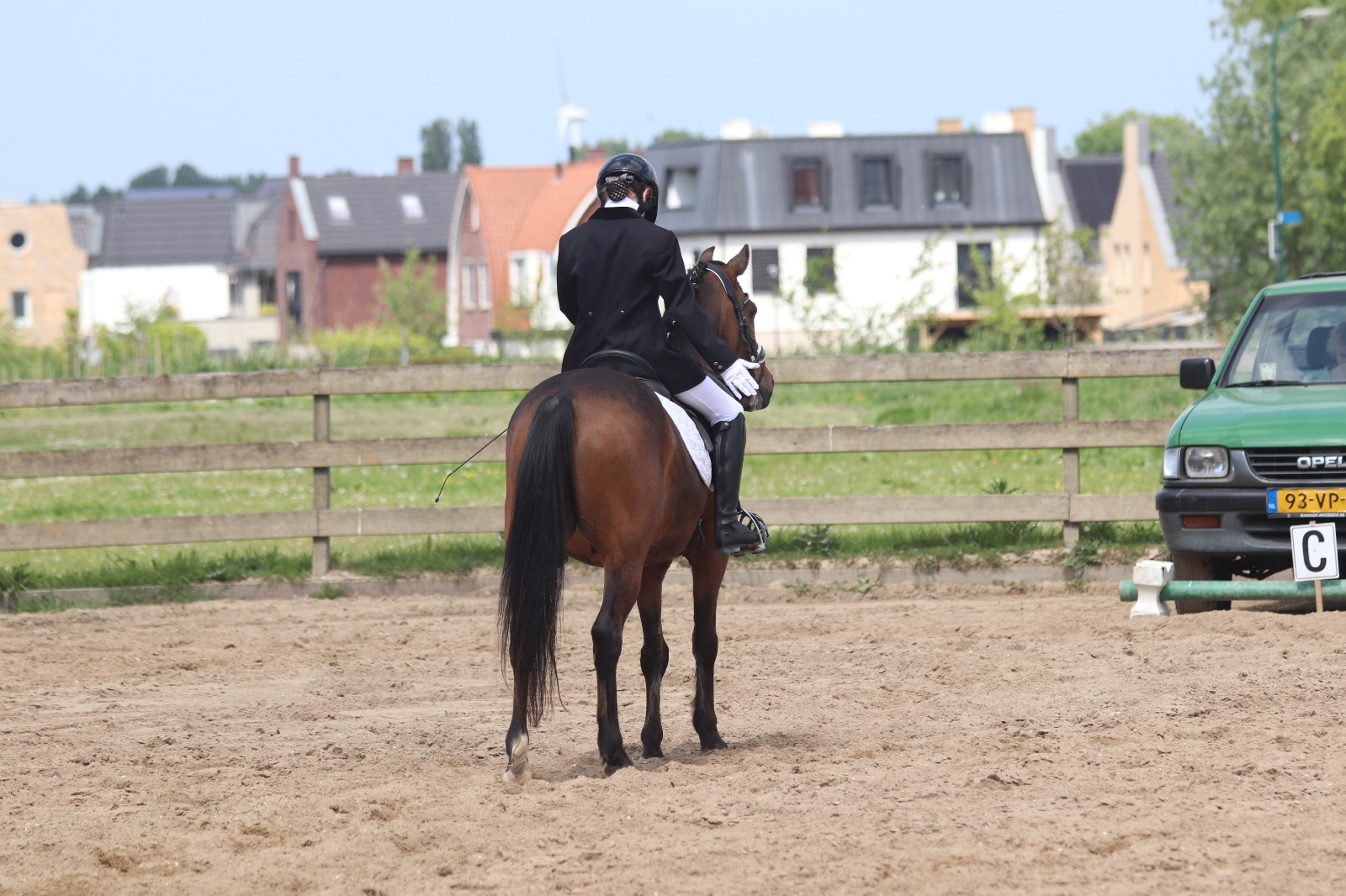 new-forest dressuurpony ruin 18 years old donkerbruin for sale - Photo 3