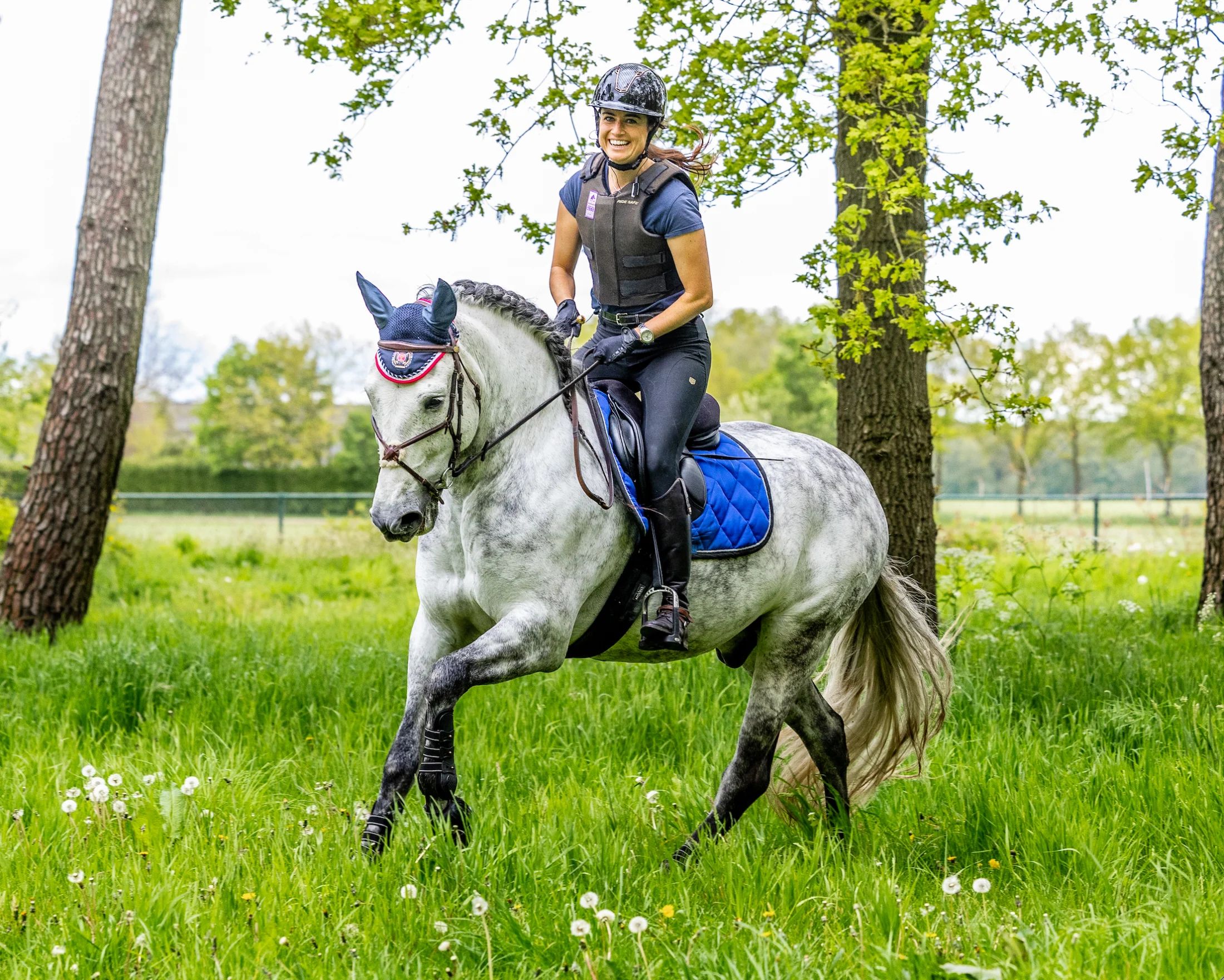 pre allrounder ruin 11 rokov schimmel na predaj - Foto 6
