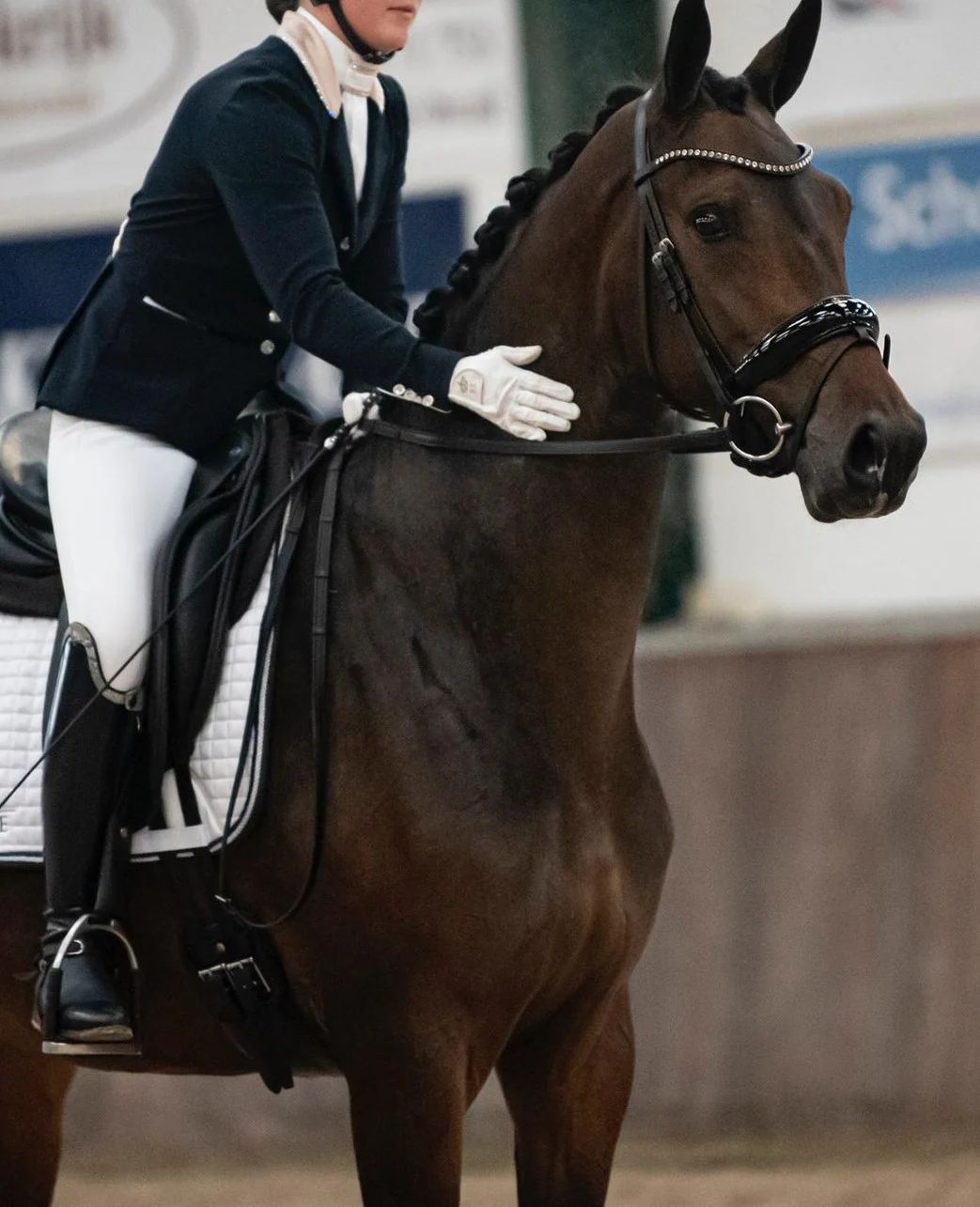 KWPN dressuurpaard Merrie 8 años Donkerbruin en venta - Foto 3