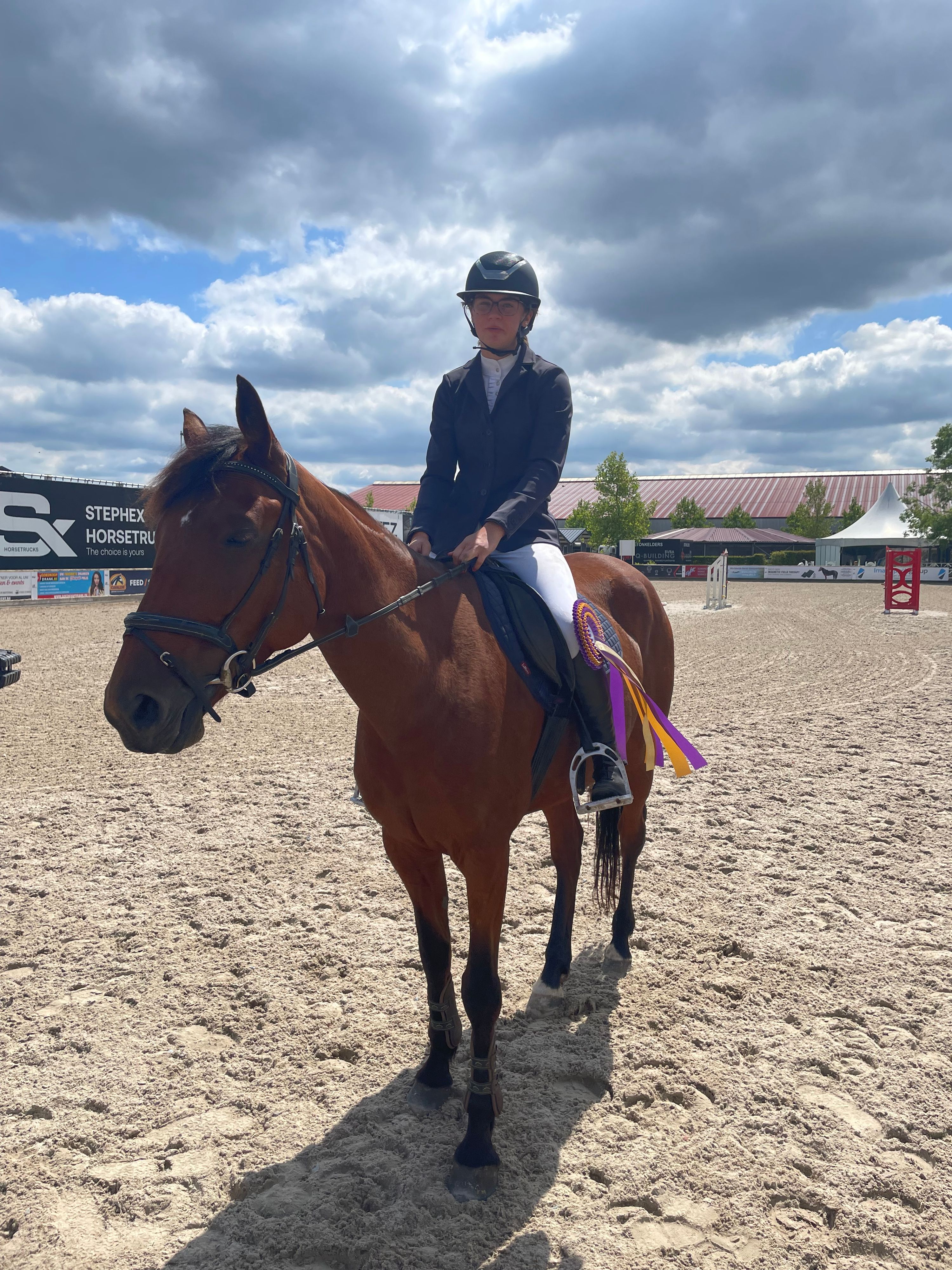 ander springpaard merrie 8 years old bruin for sale - Photo 3