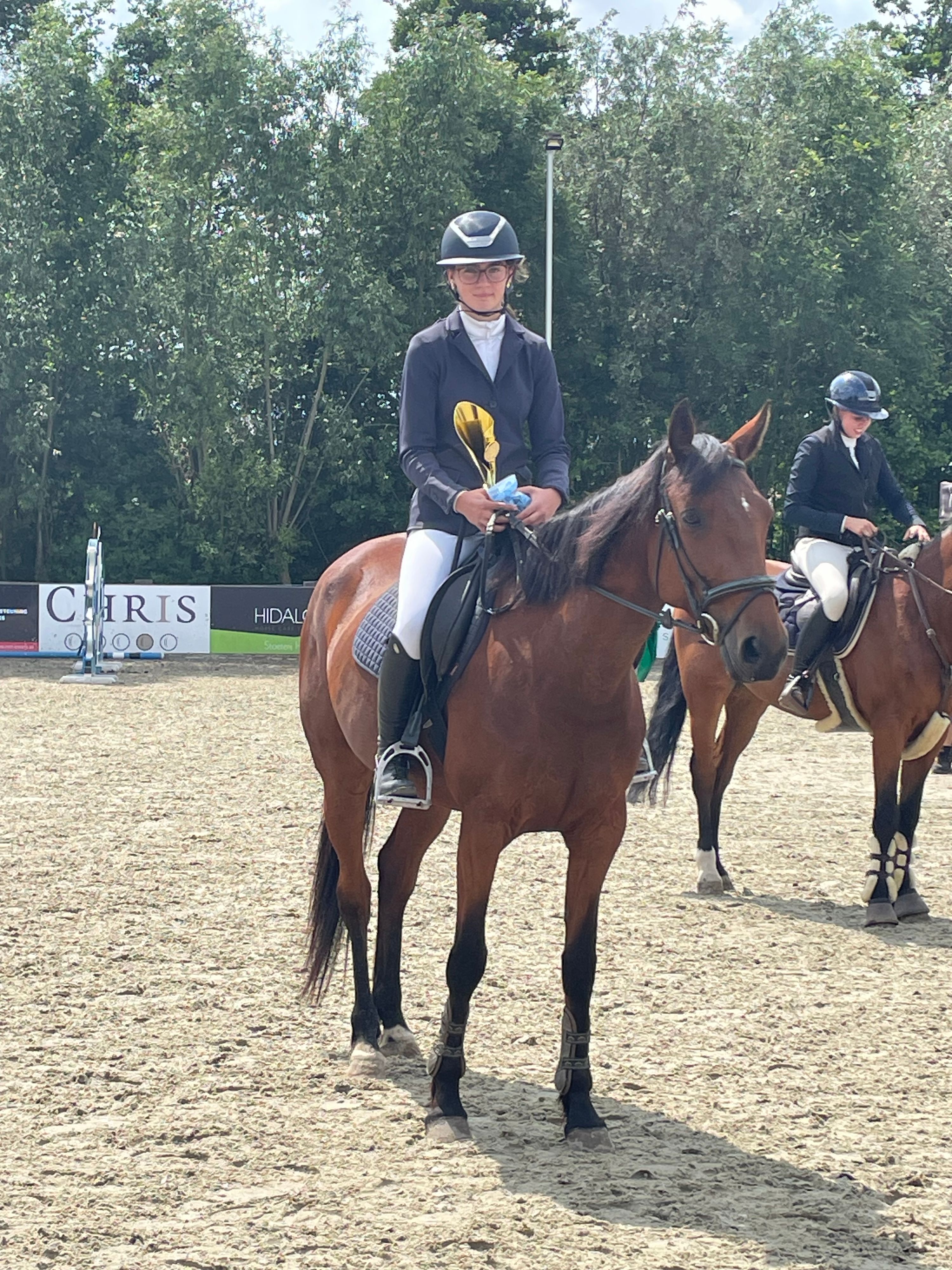 ander springpaard merrie 8 years old bruin for sale - Photo 5