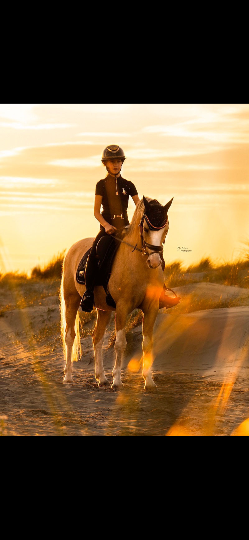 welsh-cob dressuurpony ruin 9 años palomino en venta - Foto 5