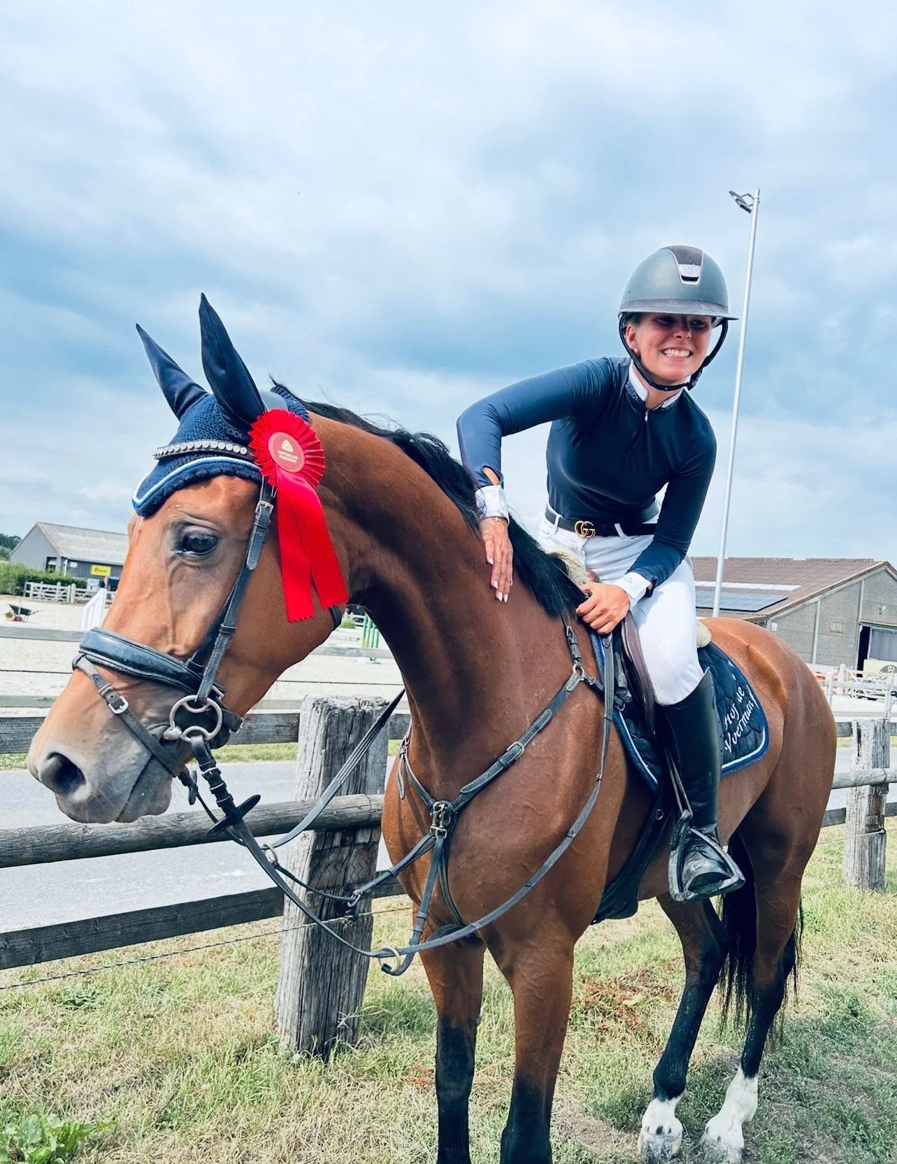 zangersheide springpaard merrie 7 Jahre alt bruin zu verkaufen - Foto 6