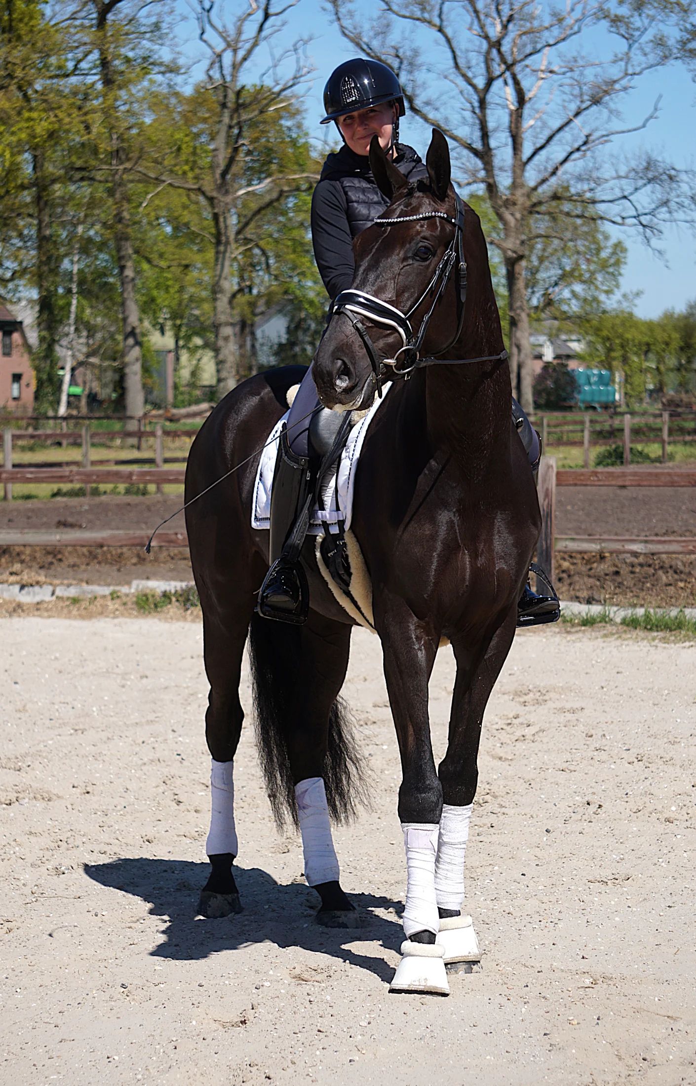 kwpn dressuurpaard ruin 4 ans zwart à vendre - Photo 2