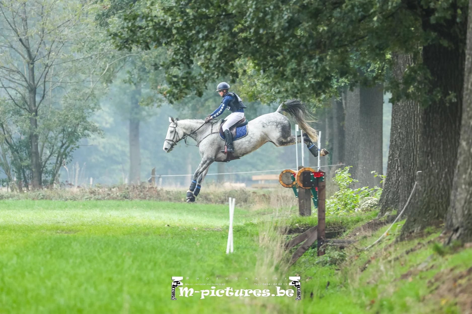 eventingpaard ruin 12 years old for sale - Main photo