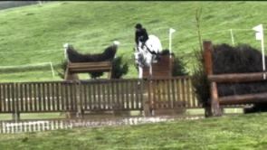 eventingpaard ruin 12 years old for sale - Photo 2