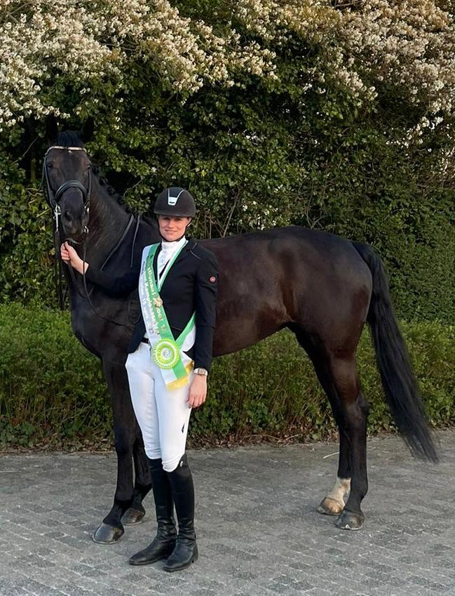 bwp dressuurpaard merrie 12 years old zwart for sale - Photo 2