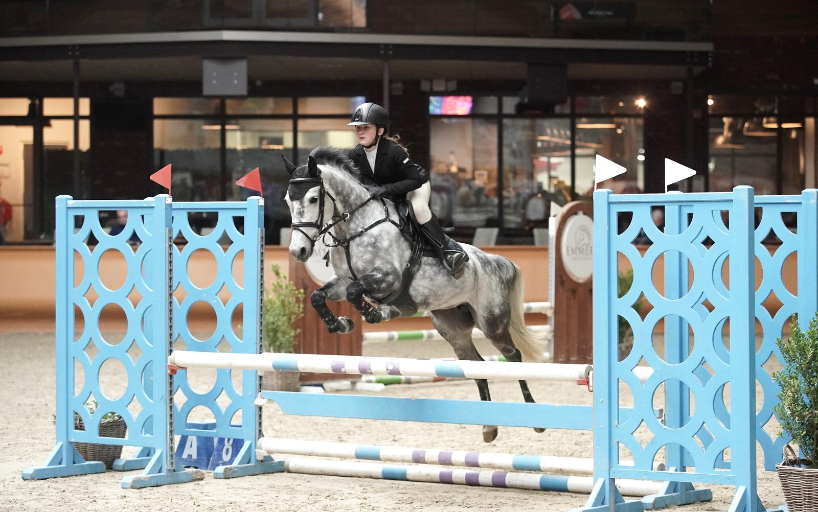 Leuke springpony 