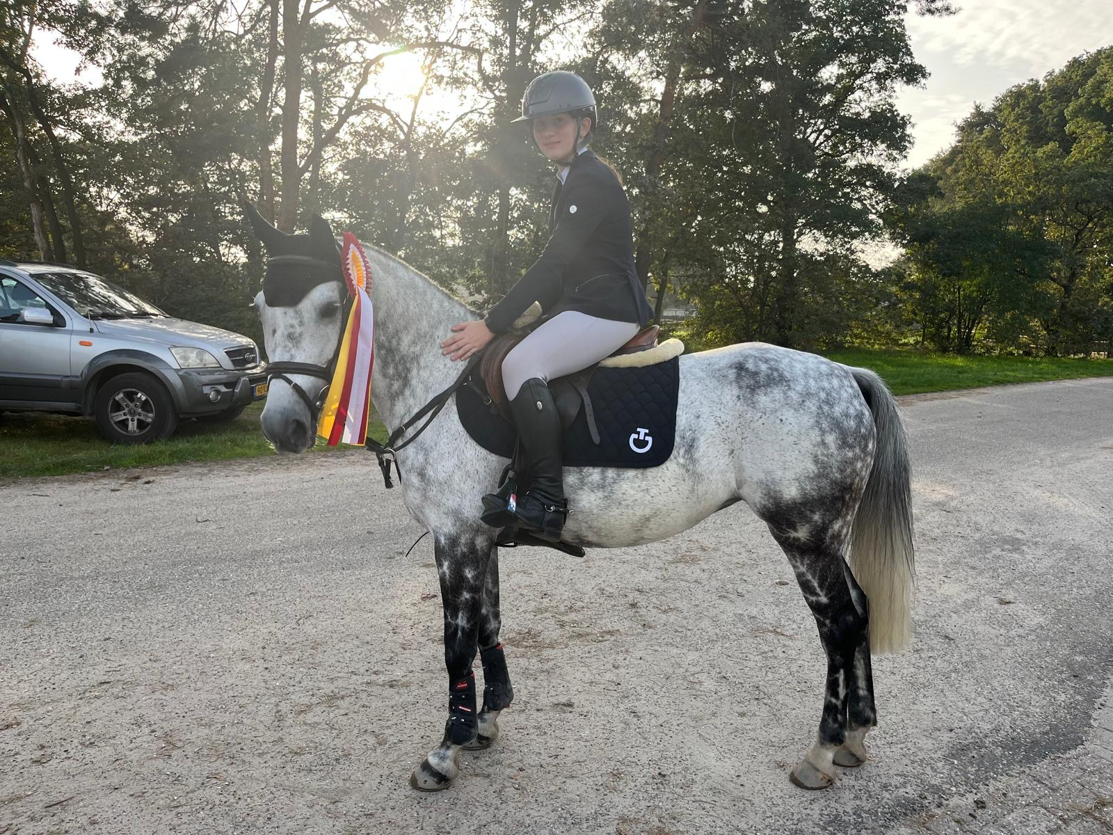 nrps springpony merrie 15 jaar schimmel te koop - Foto 3