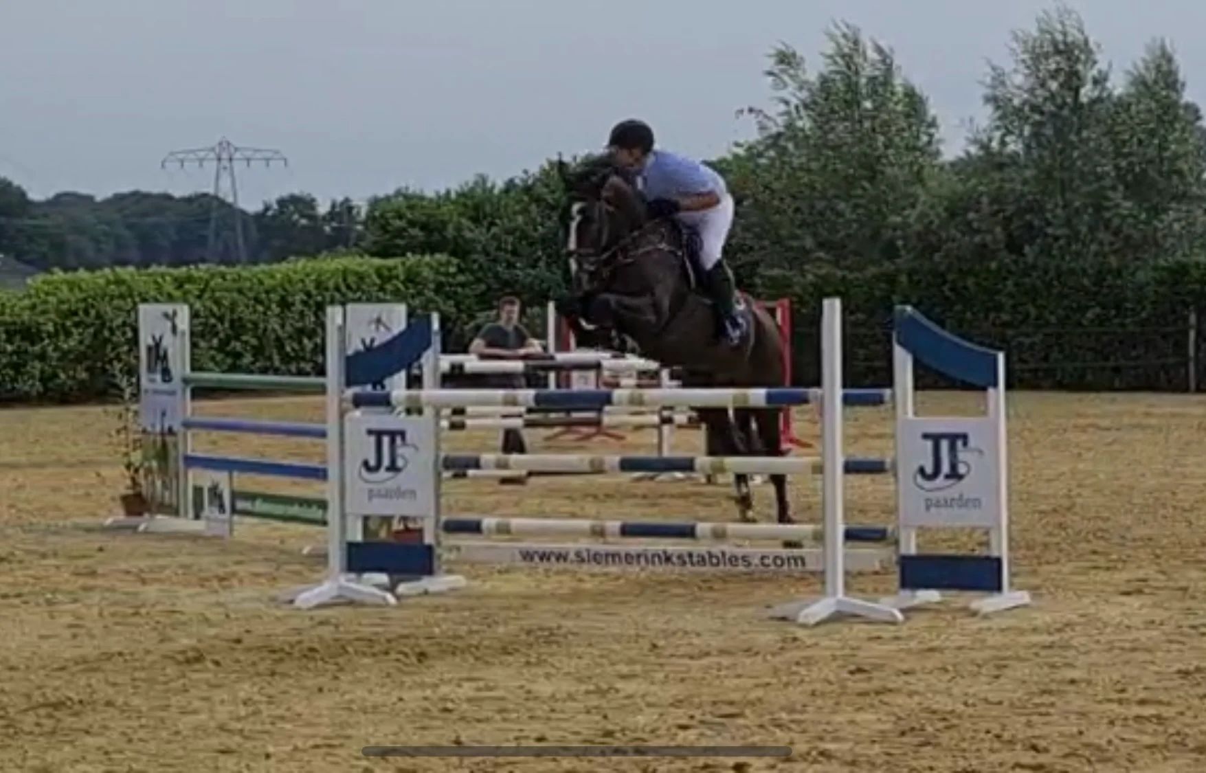 KWPN allrounder Merrie 12 jaar Zwart te koop - Foto 3