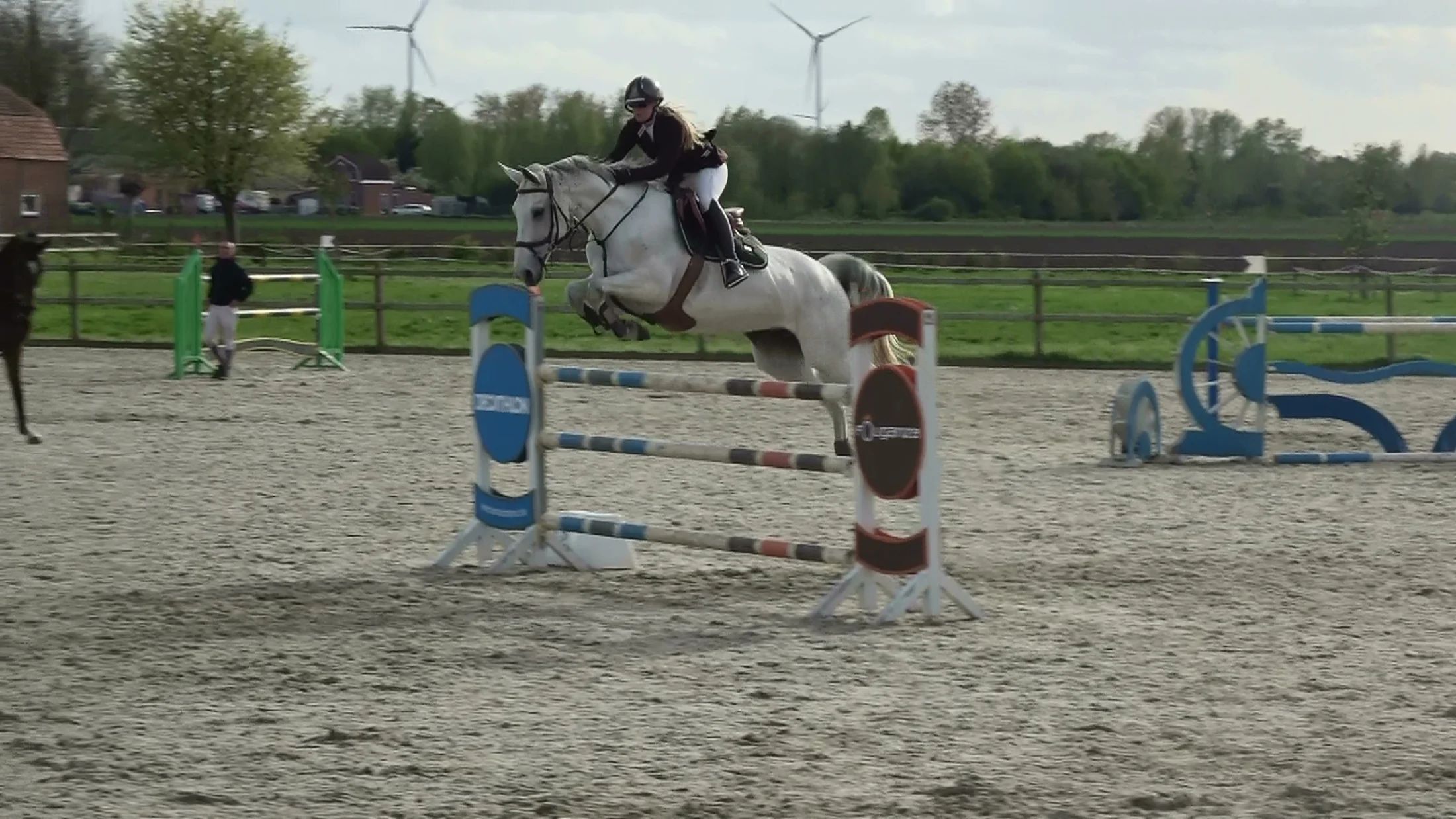 holstein springpaard merrie 13 jaar schimmel te koop - Foto 4