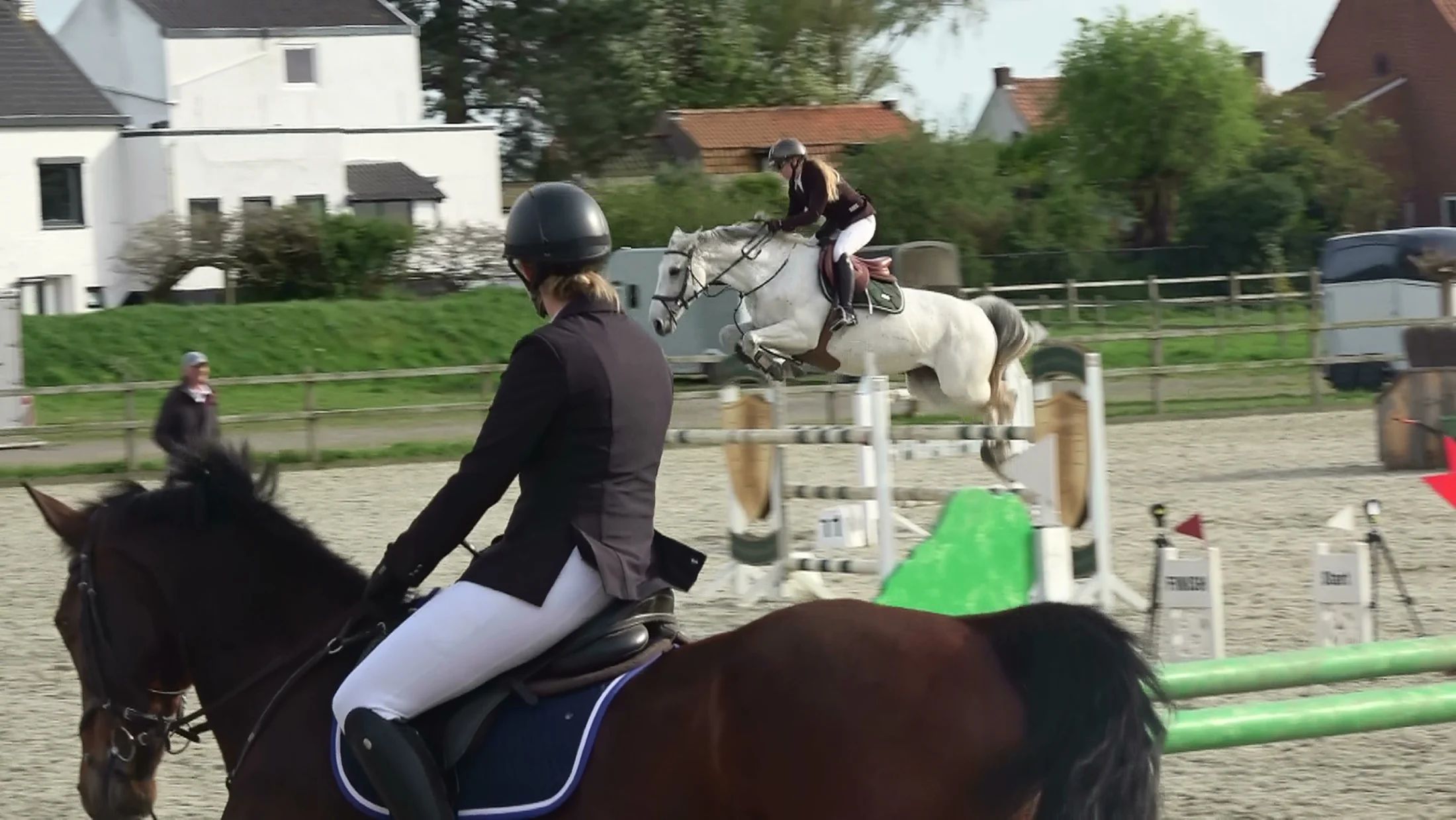 holstein springpaard merrie 13 jaar schimmel te koop - Foto 6