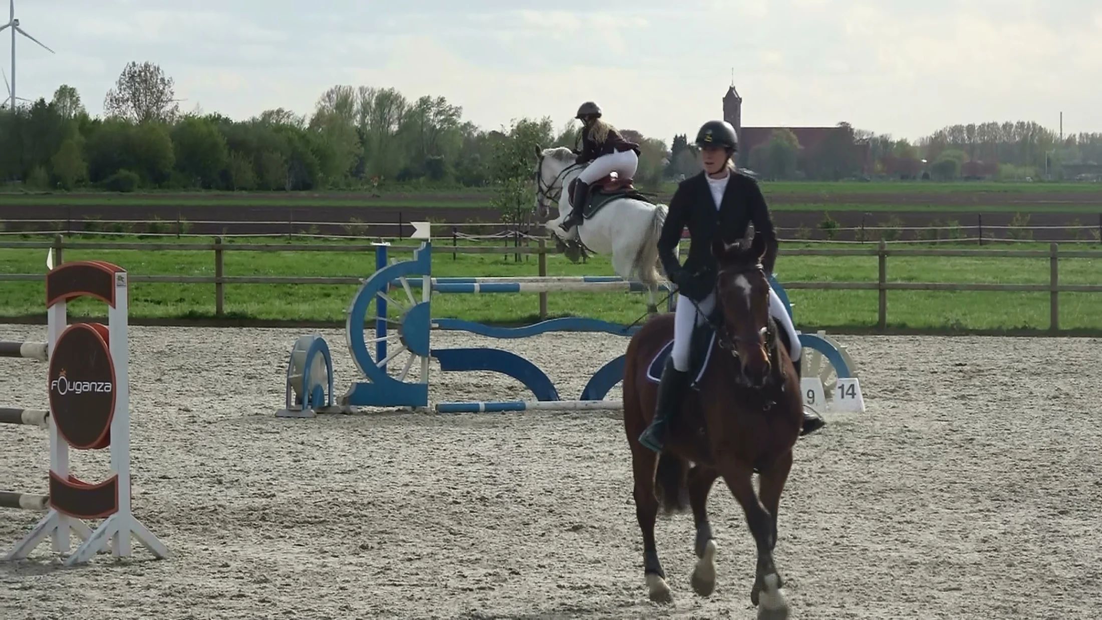 holstein springpaard merrie 13 jaar schimmel te koop - Foto 5