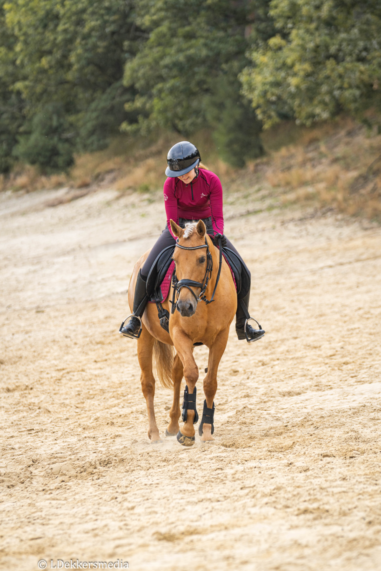 Ponei frumos Palomino E pony