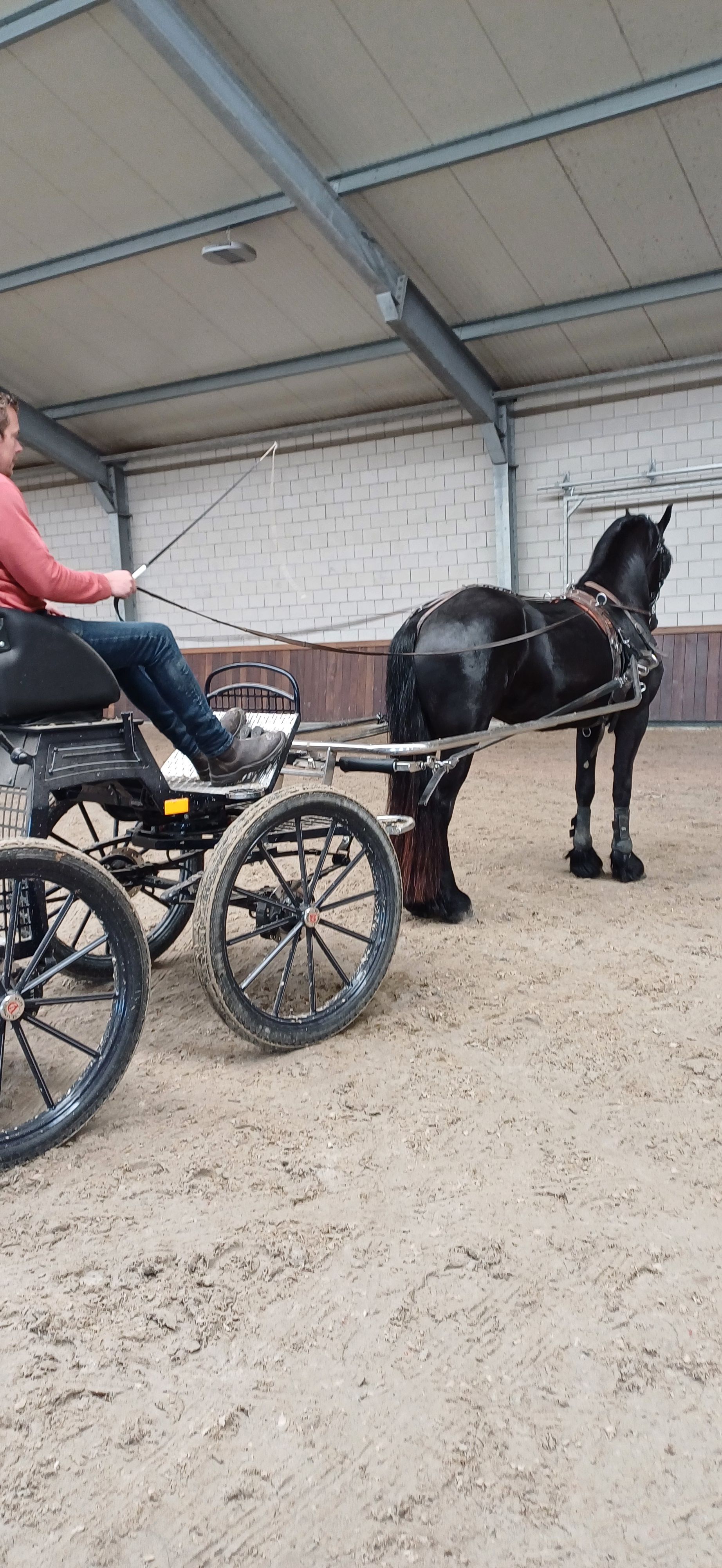 fries merrie 4 ans zwart à vendre - Photo 3