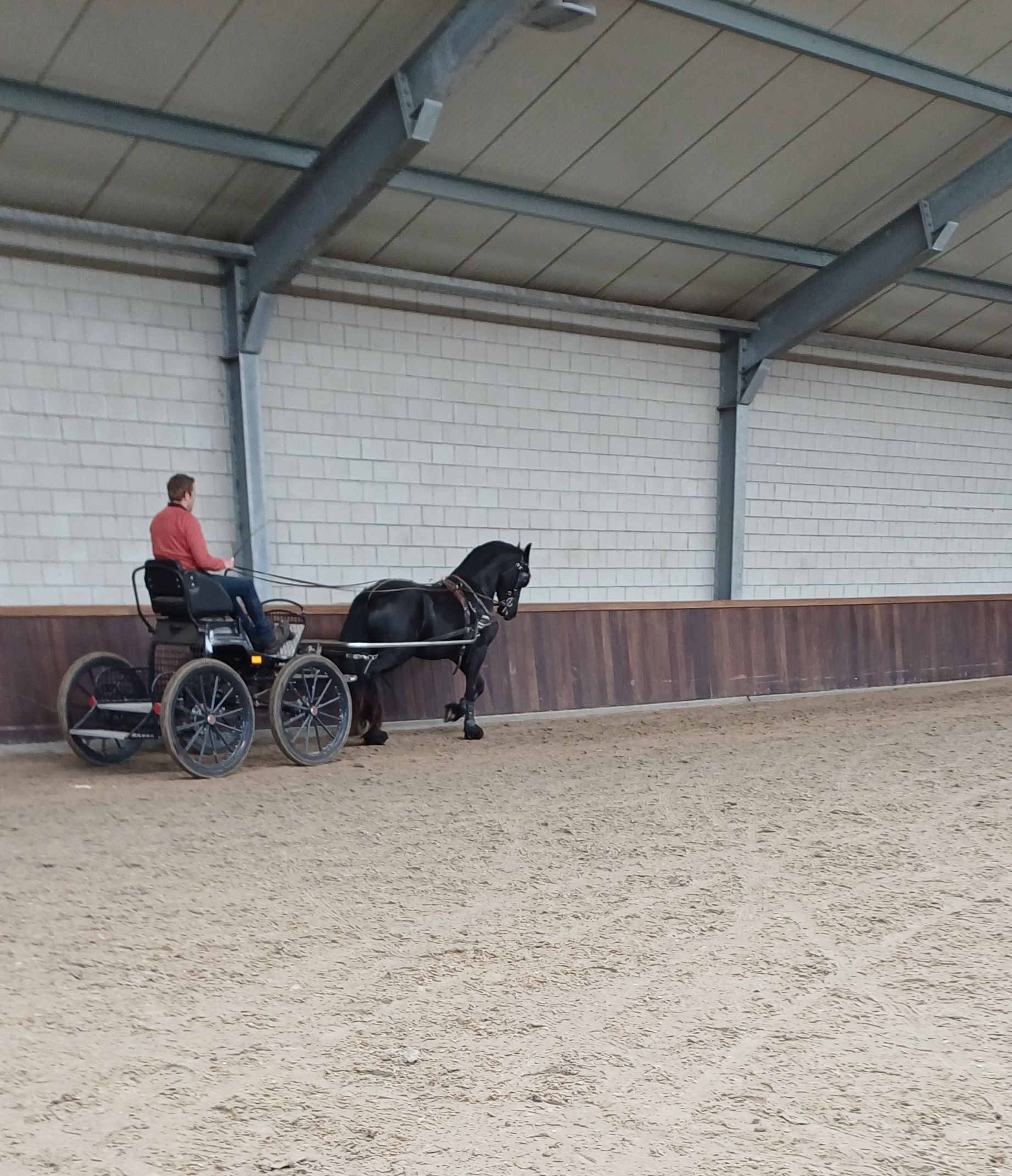 fries merrie 4 ans zwart à vendre - Photo 4